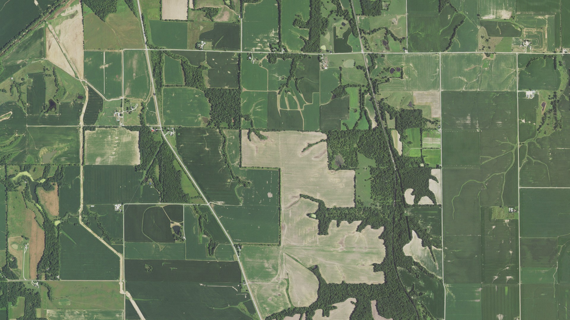 Natural-color aerial photograph of land around Kane, Illinois