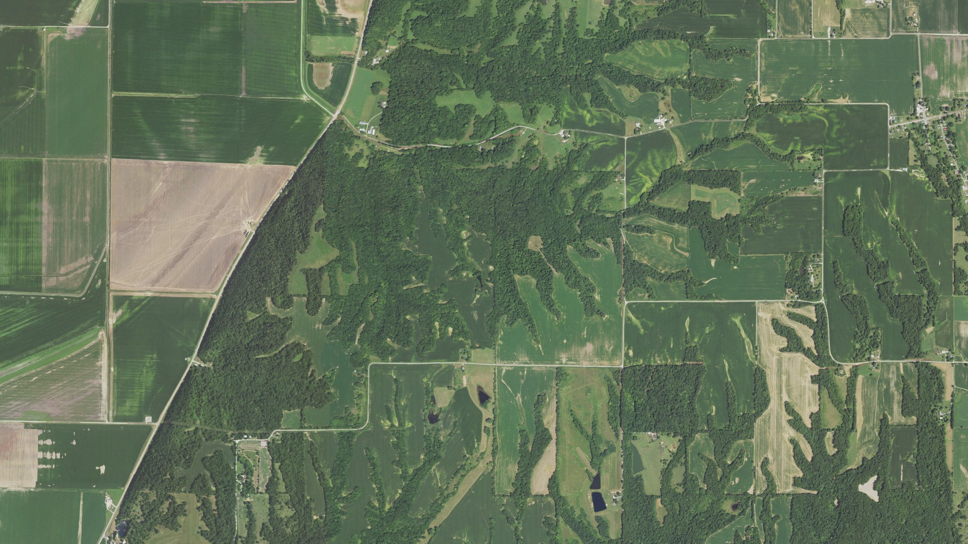 Aerial view of land around Patterson, Illinois