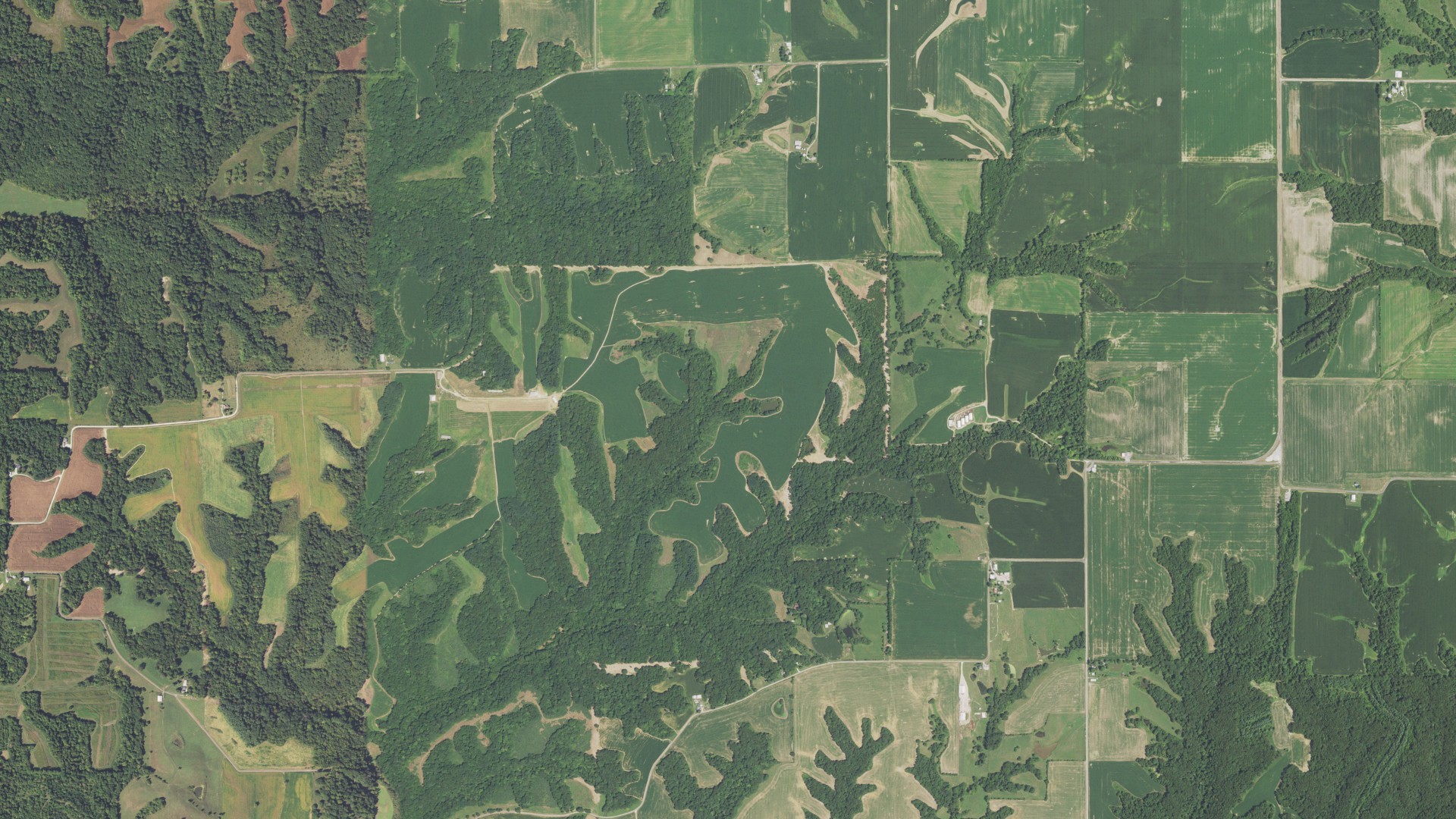 Aerial view of land around Woodville, Illinois
