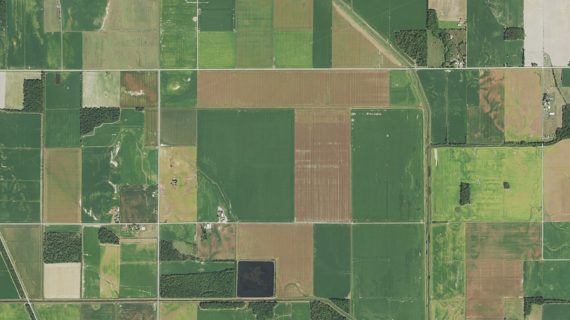 Natural-color aerial photograph of land around Mayberry, Illinois