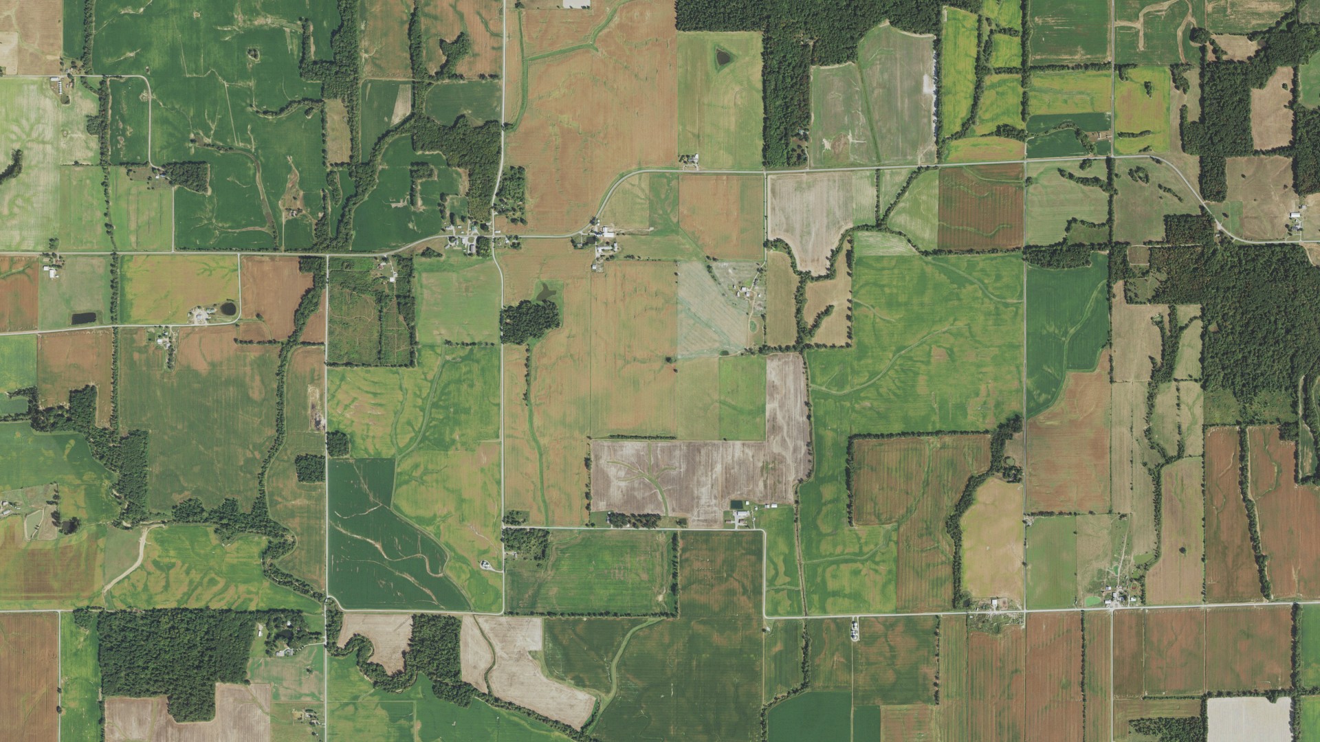 Aerial view of land around South Twigg, Illinois