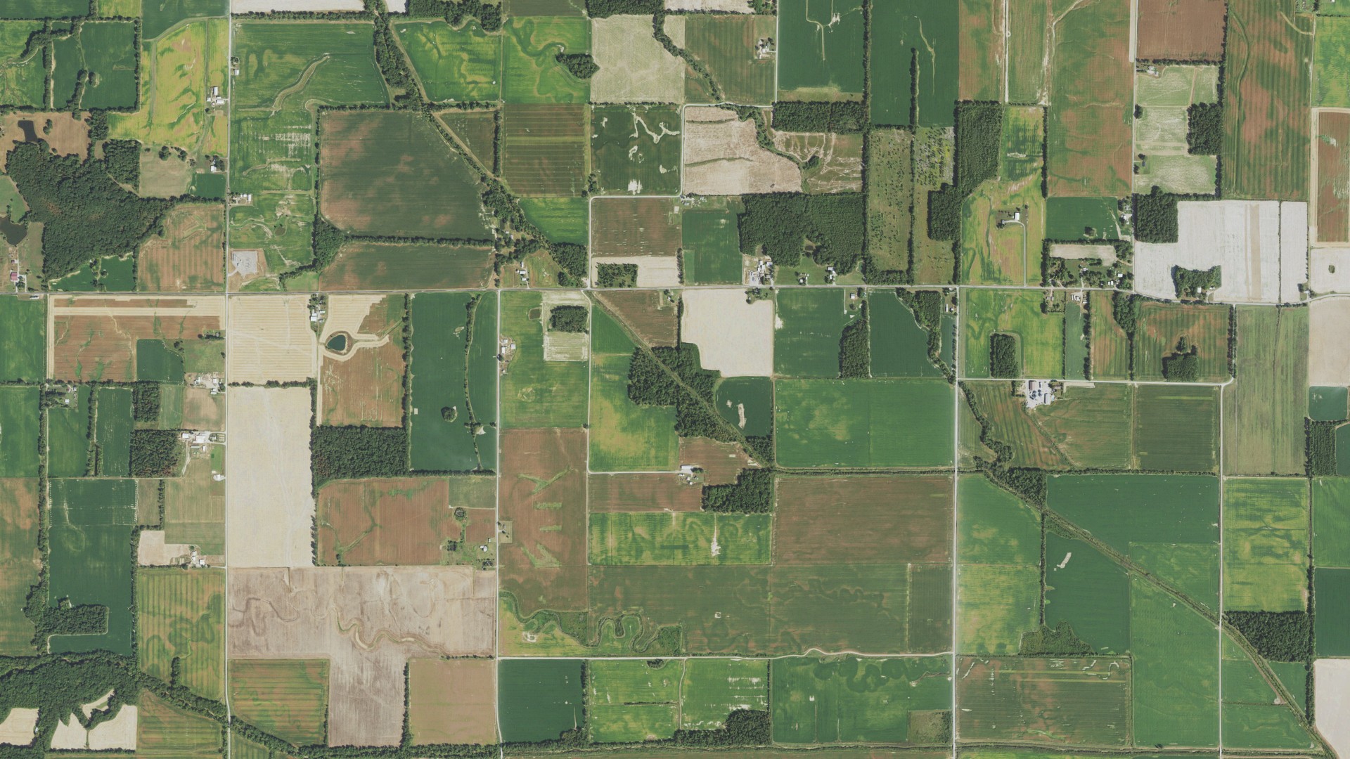 Aerial view of land around Twigg, Illinois