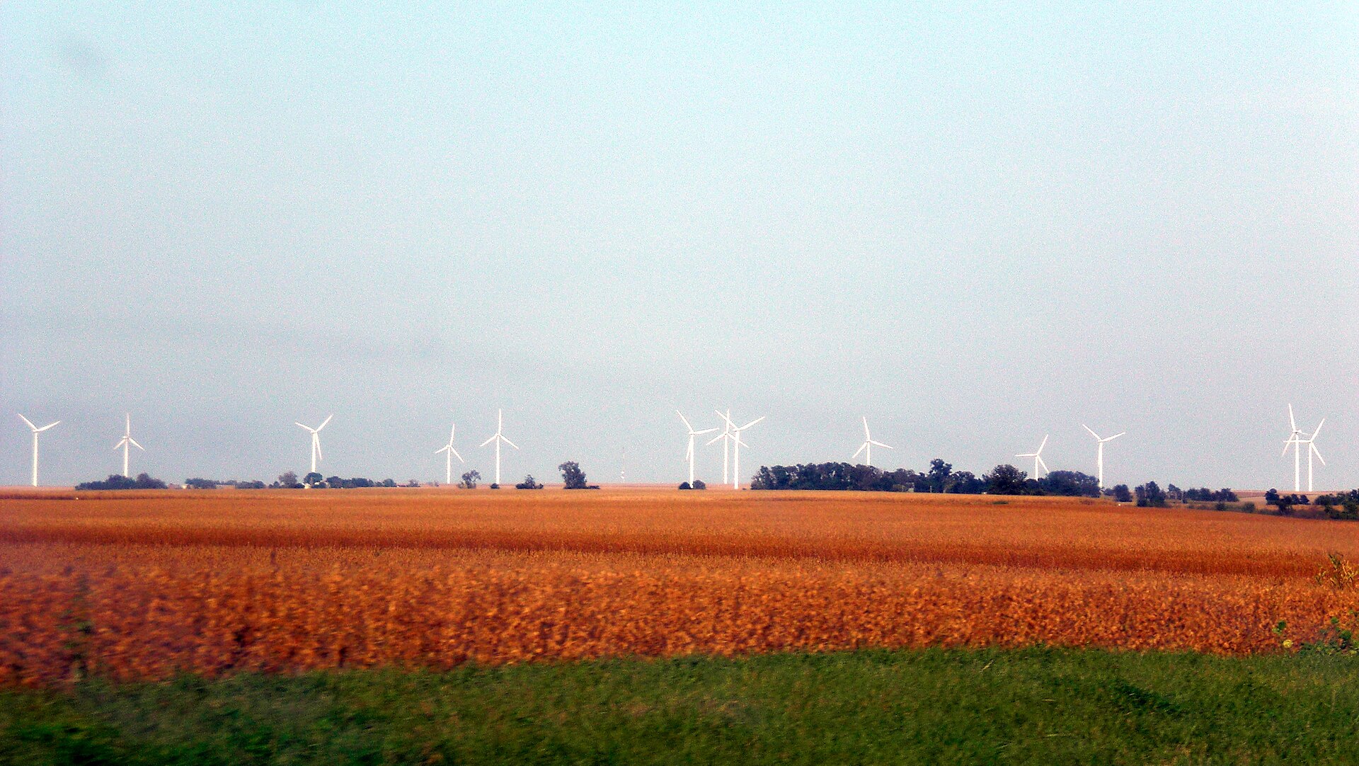 Fields and countryside in Bradford, Illinois