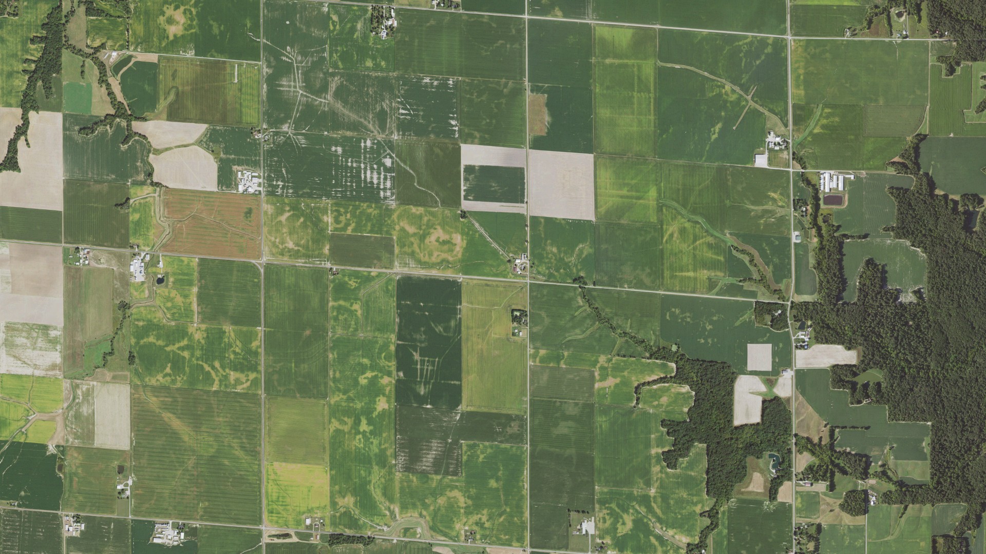 Natural-color aerial photograph of land around Grove, Illinois