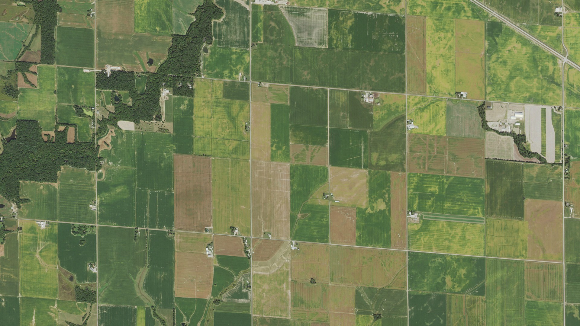 Aerial view of land around North Muddy, Illinois