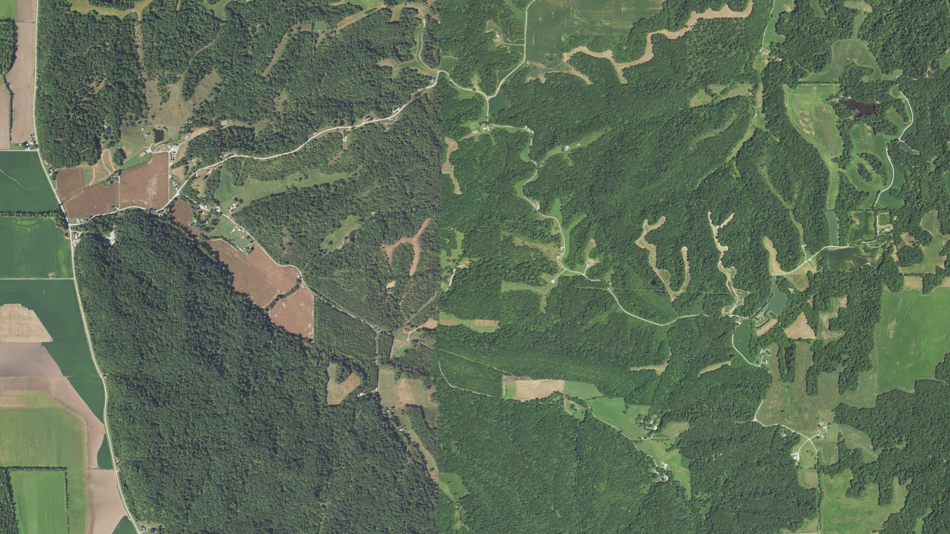 Natural-color aerial photograph of land around Rosedale, Illinois