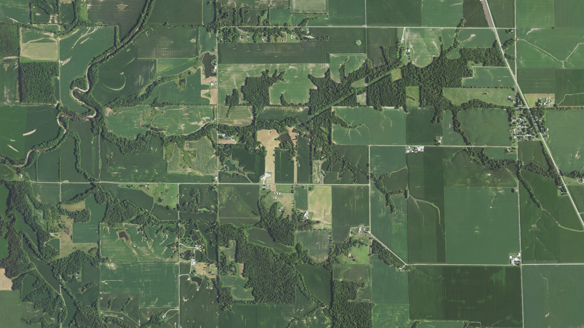 Natural-color aerial photograph of land around Ruyle, Illinois