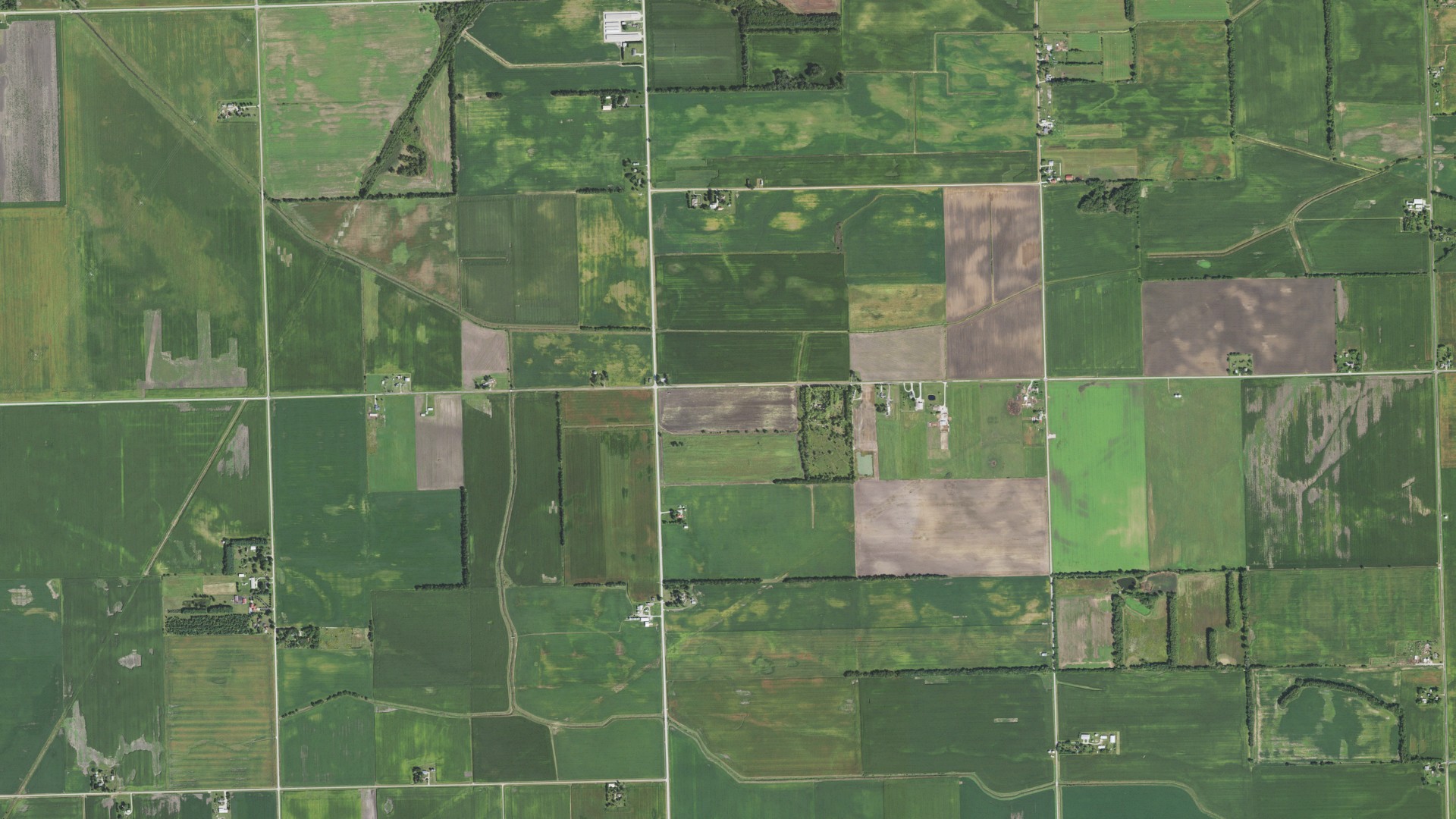 Aerial view of land around Essex, Illinois