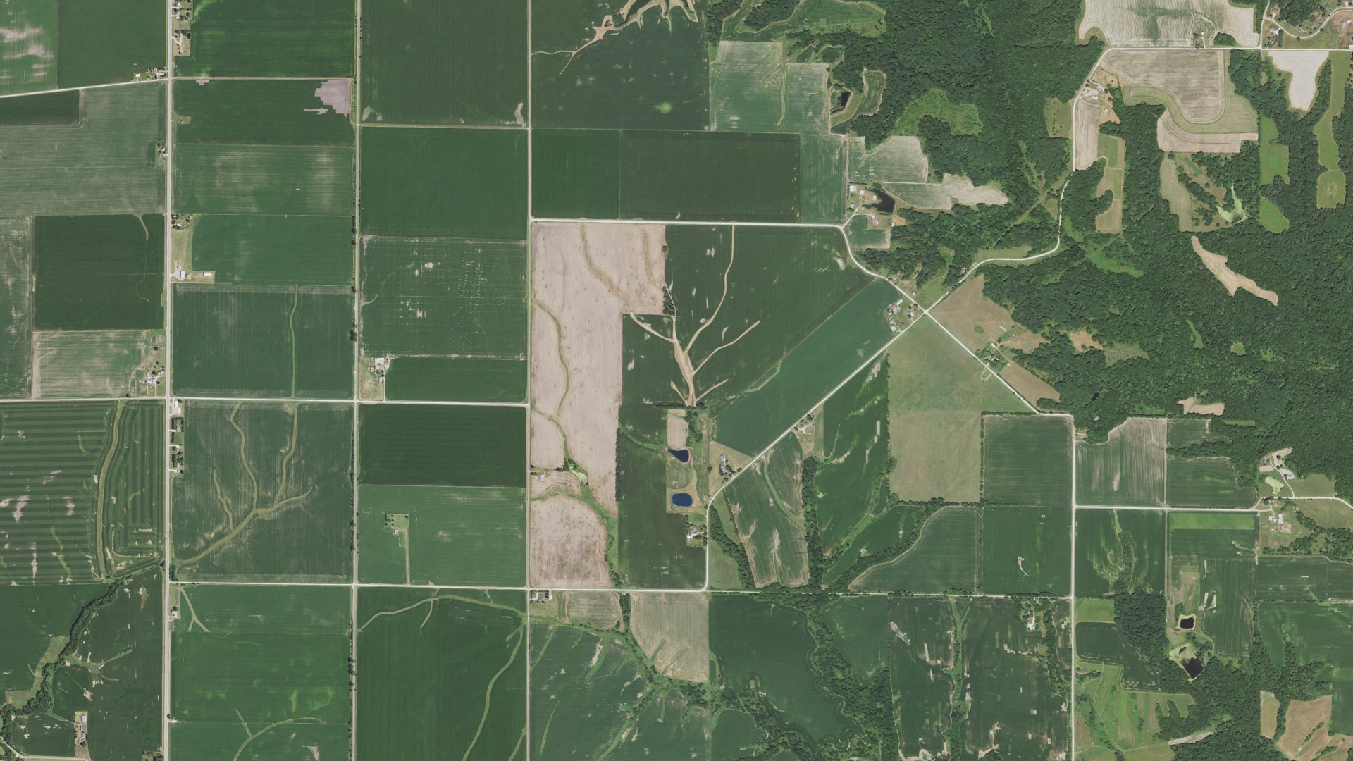 Aerial view of land around Cedar, Illinois