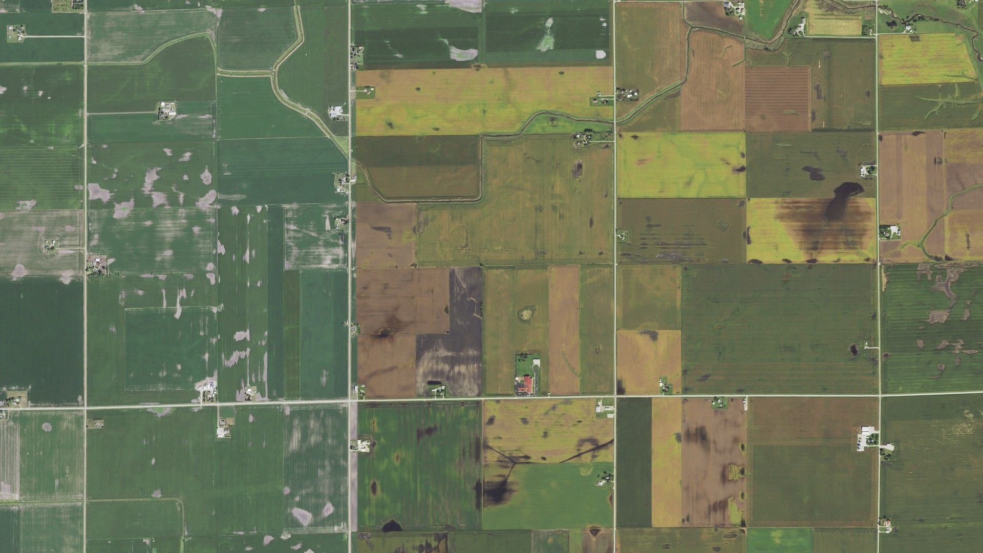 Natural-color aerial photograph of land around Wallace, Illinois