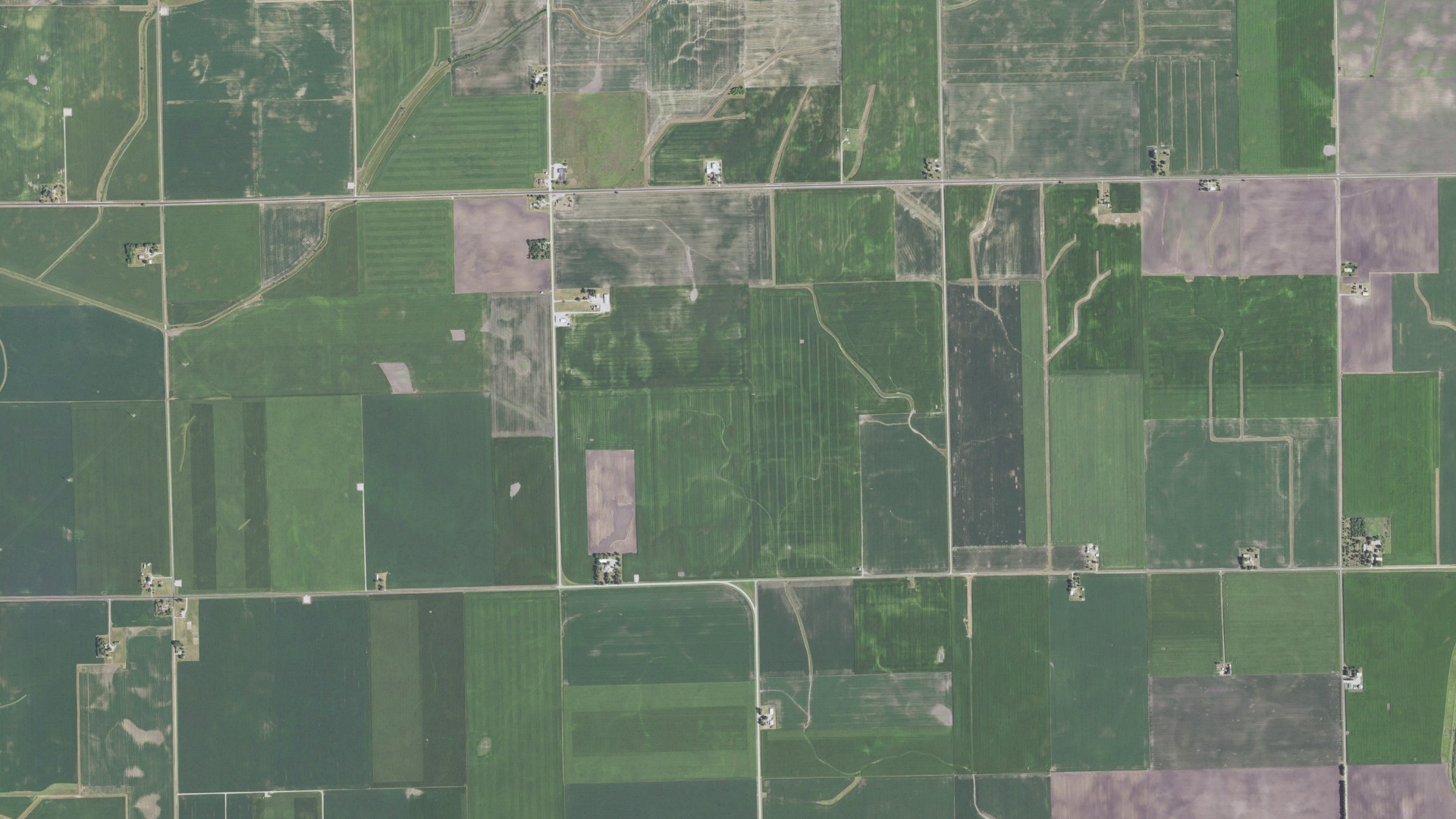 Natural-color aerial photograph of land around Owego, Illinois