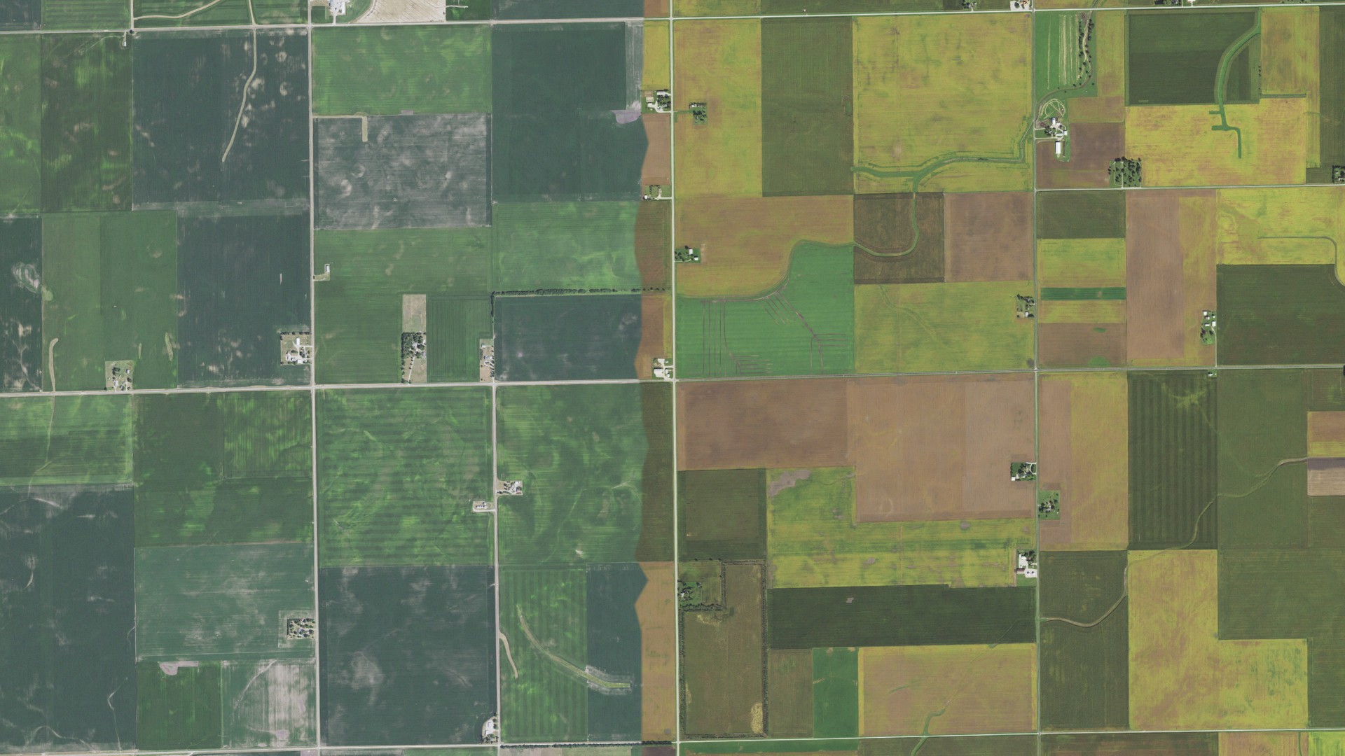 Aerial view of land around Waldo, Illinois