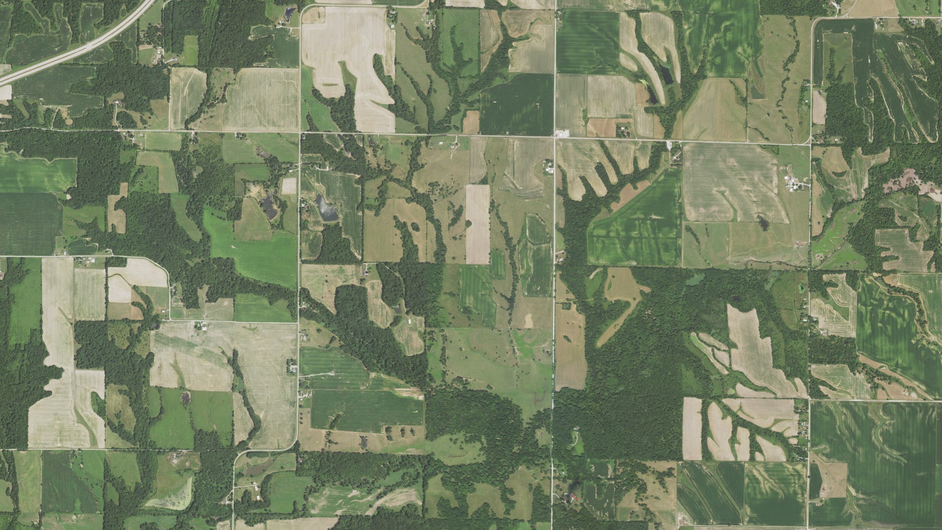 Natural-color aerial photograph of land around Chalmers, Illinois