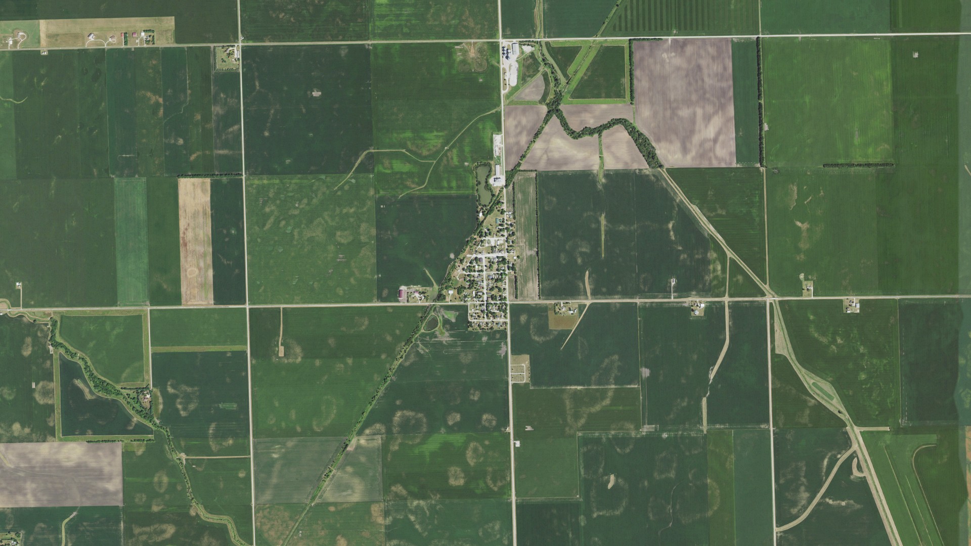 Natural-color aerial photograph of land around Campus, Illinois