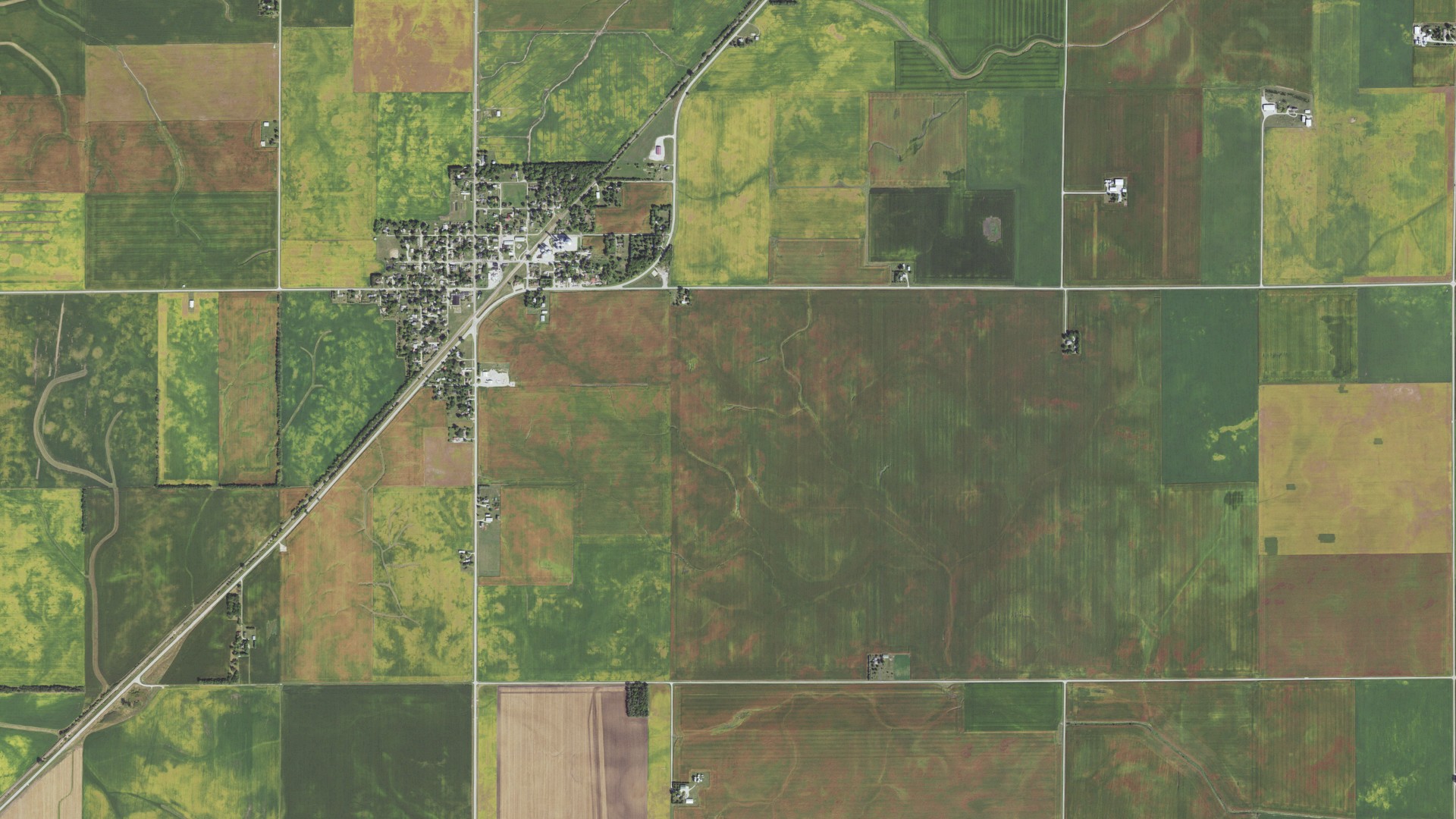 Natural-color aerial photograph of land around Bellflower, Illinois