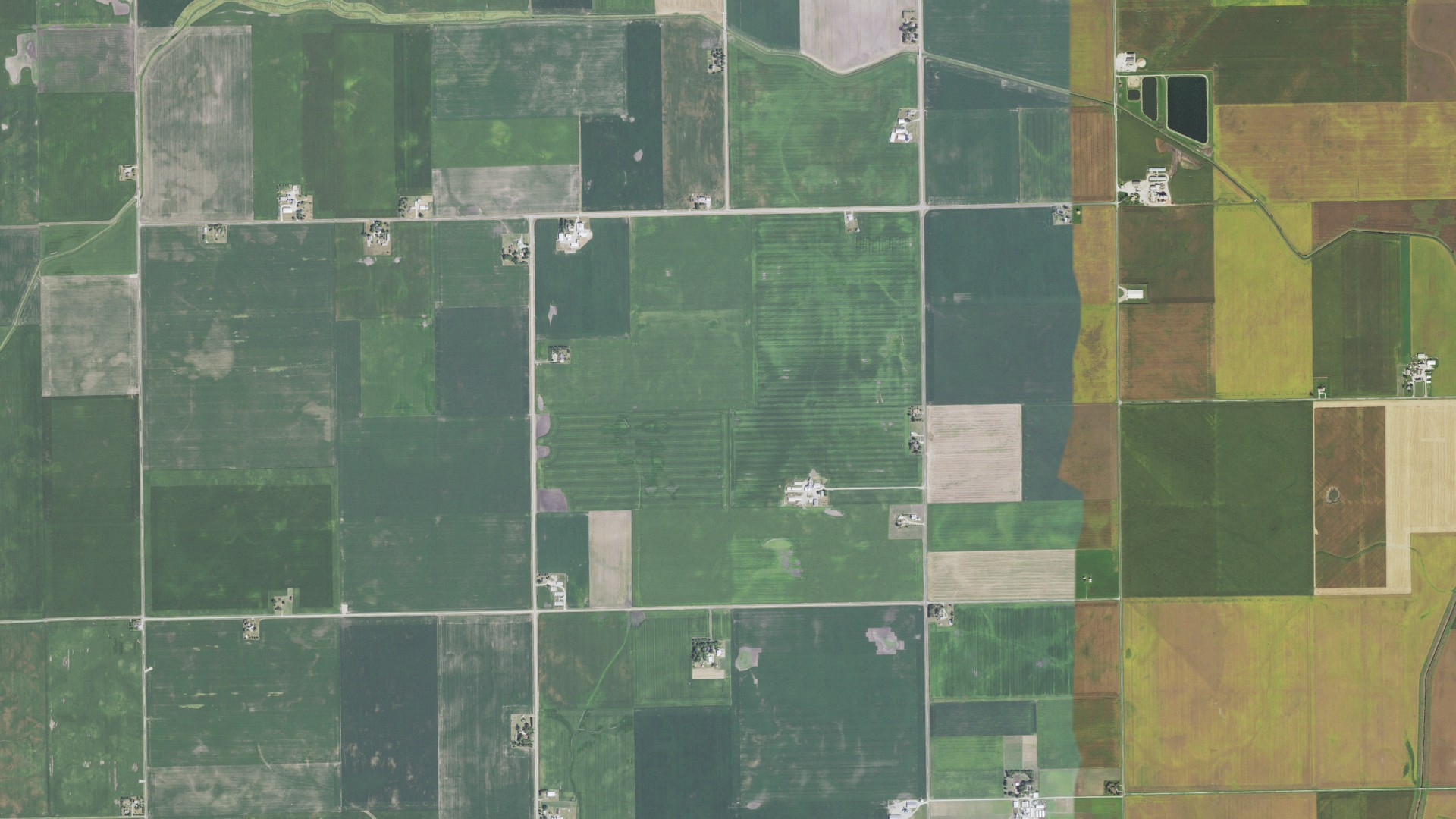 Aerial view of land around Gridley, Illinois