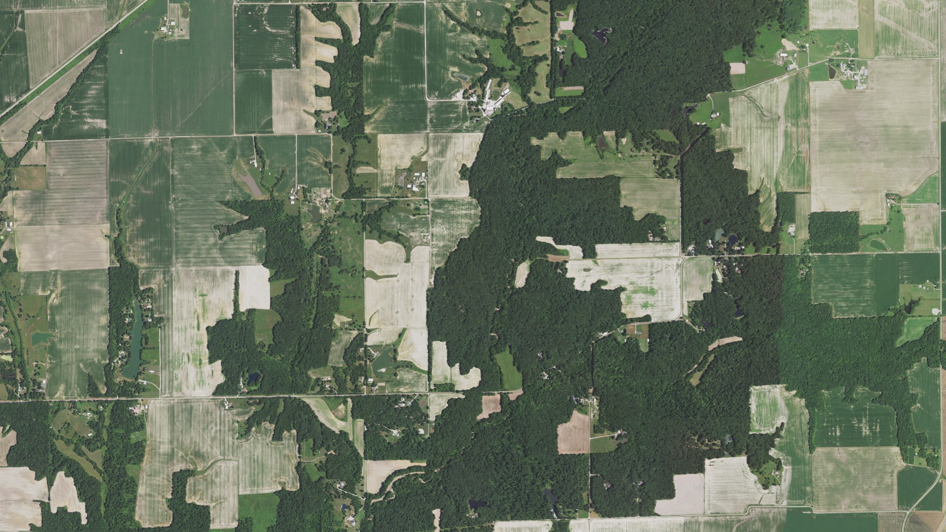 Aerial view of land around Cahokia, Illinois