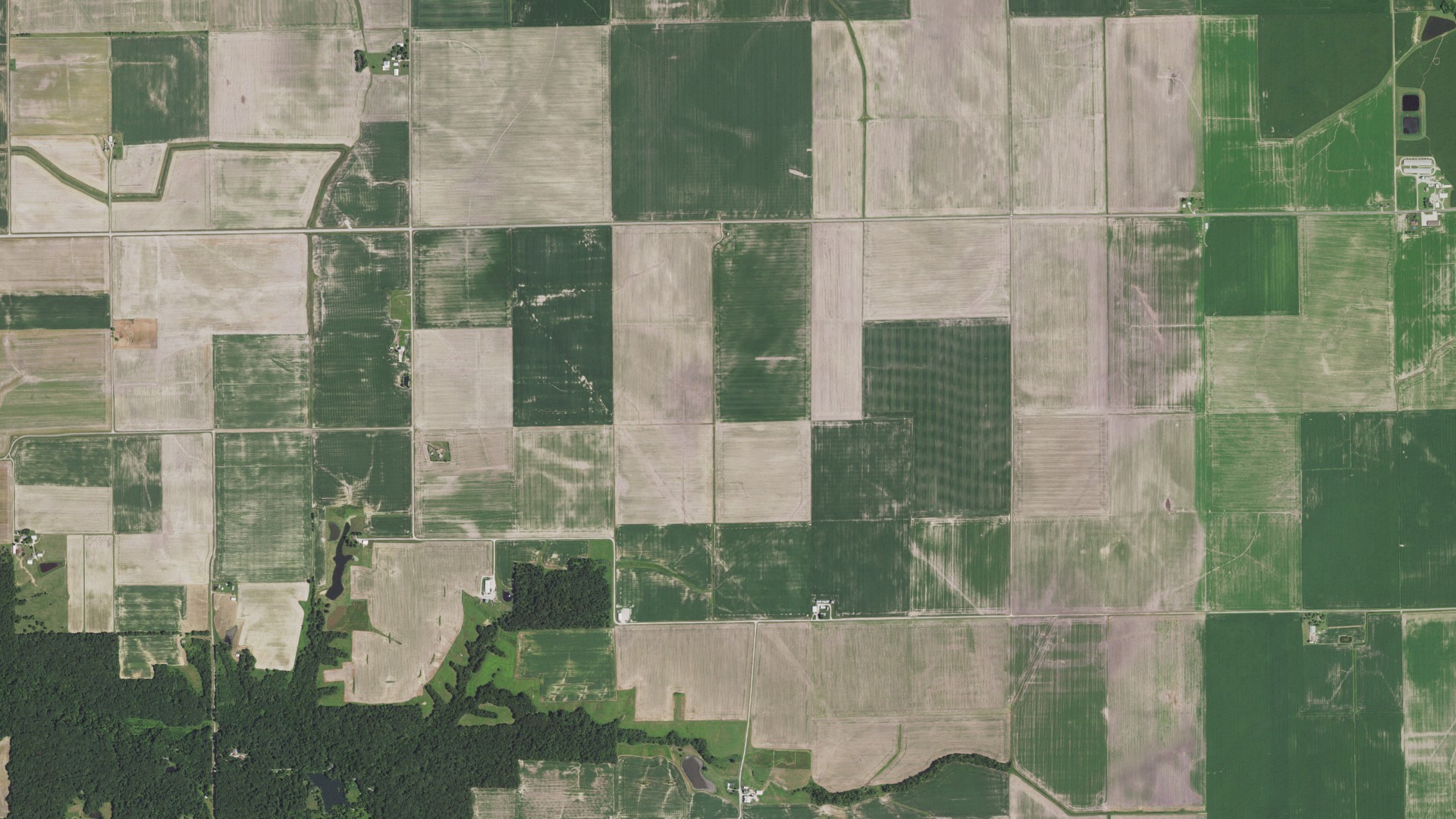 Aerial view of land around Honey Point, Illinois
