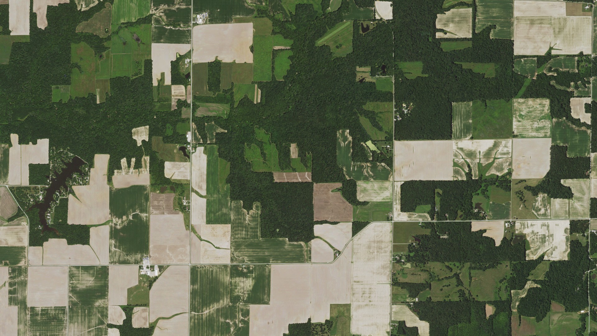 Aerial view of land around Foster, Illinois