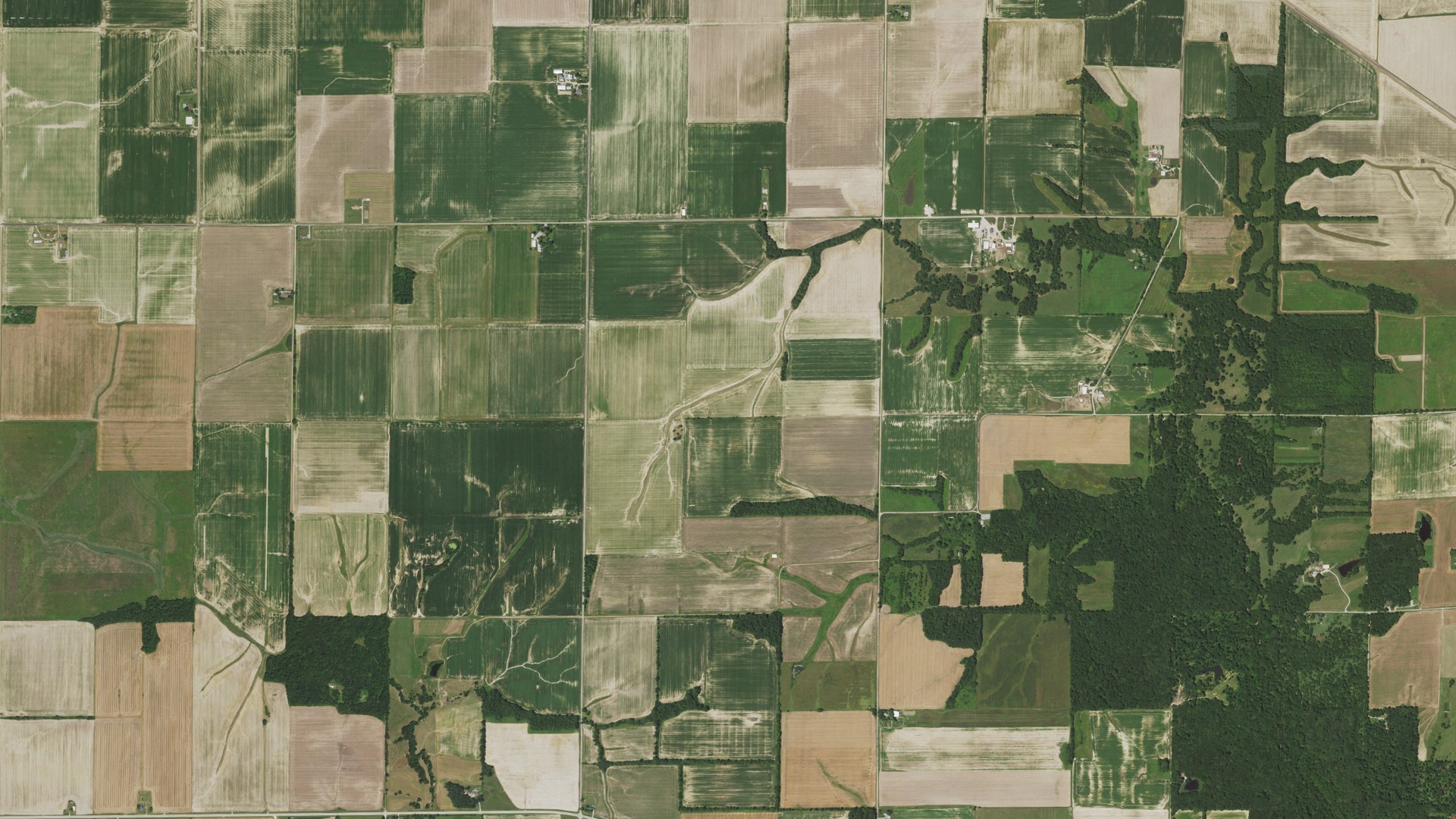 Natural-color aerial photograph of land around Meacham, Illinois