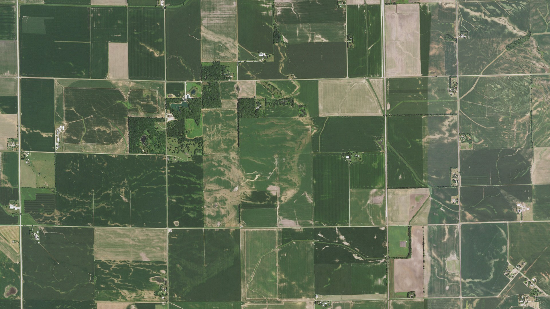 Aerial view of land around Allens Grove, Illinois