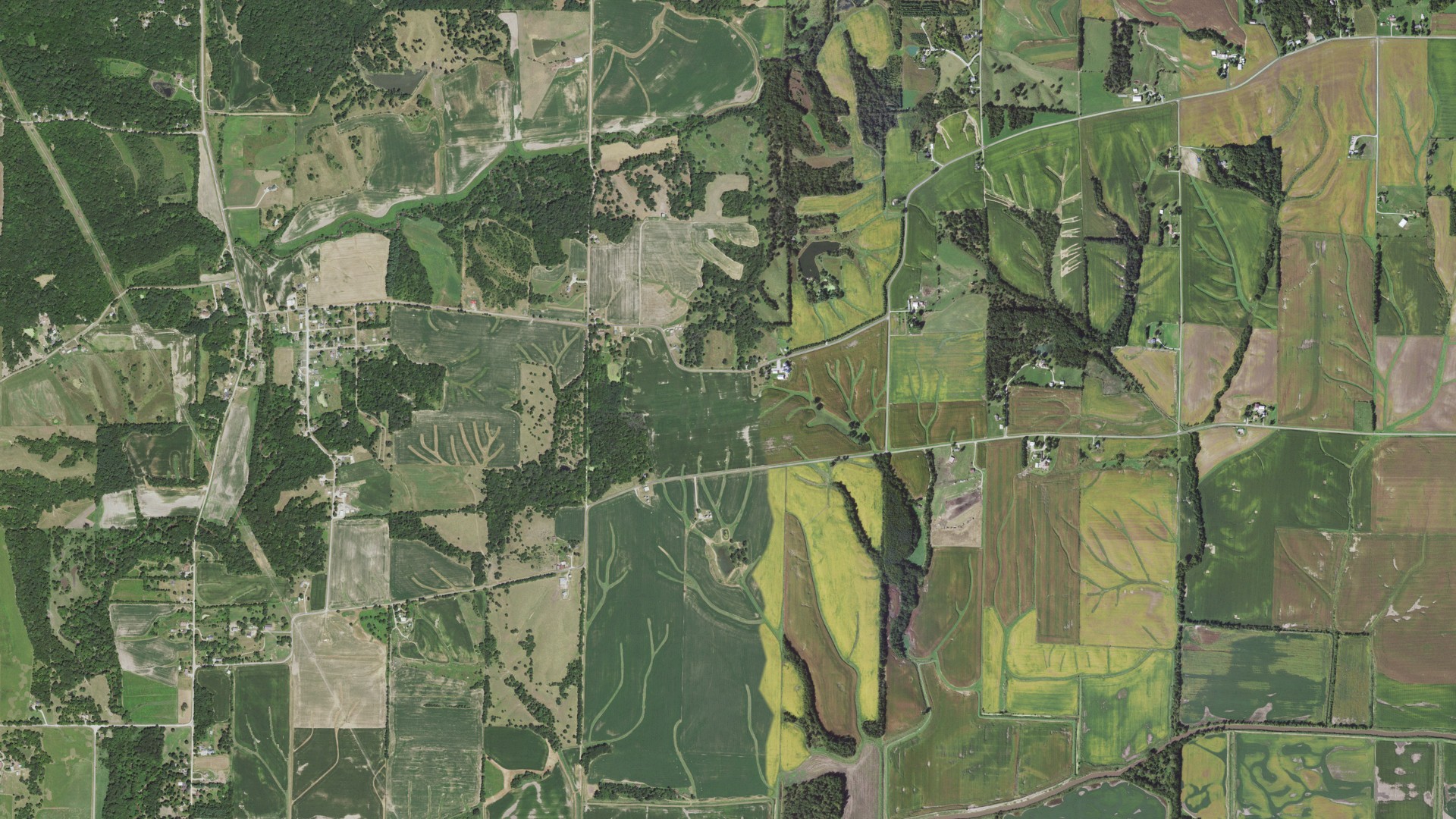 Aerial view of land around Richland Grove, Illinois