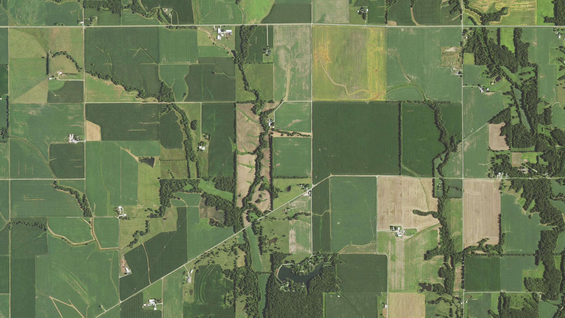 Natural-color aerial photograph of land around Audubon, Illinois