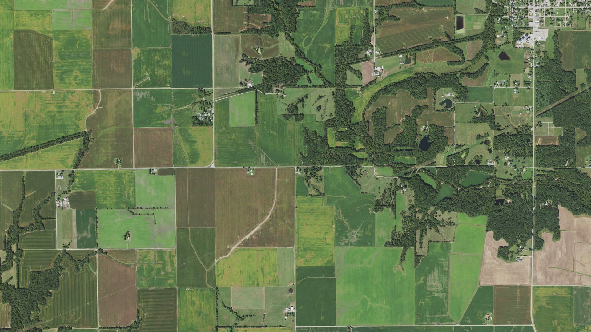 Natural-color aerial photograph of land around Fillmore Consolidated, Illinois