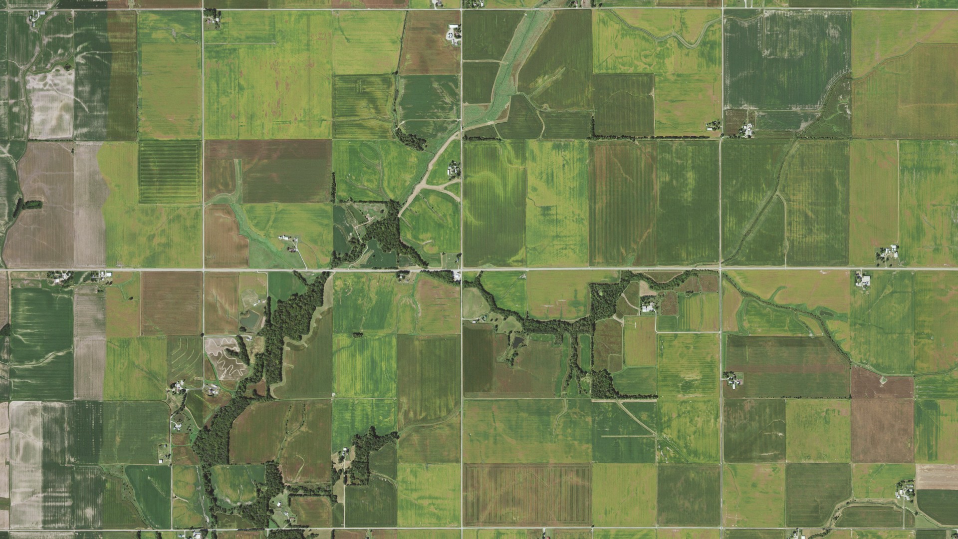 Aerial view of land around Rountree, Illinois