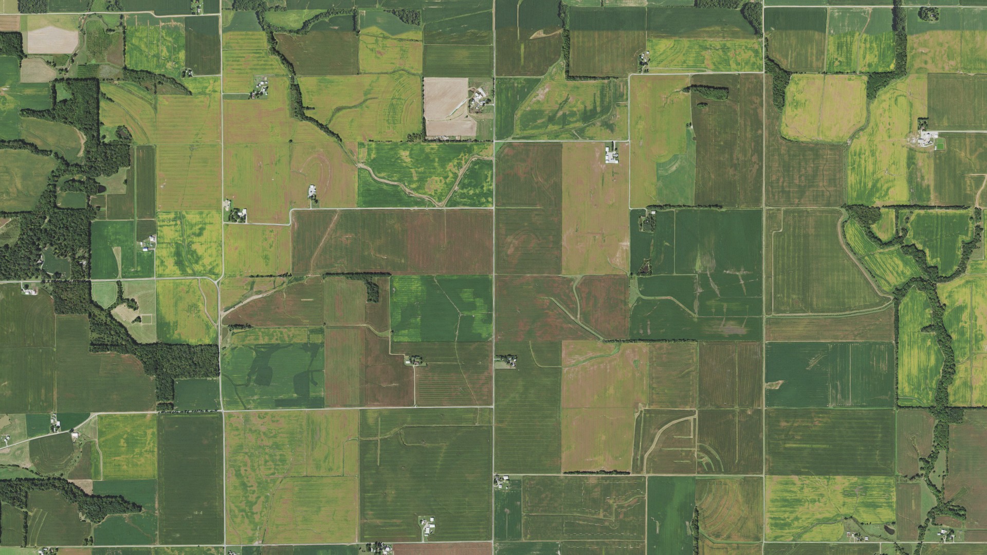 Aerial view of land around Witt, Illinois