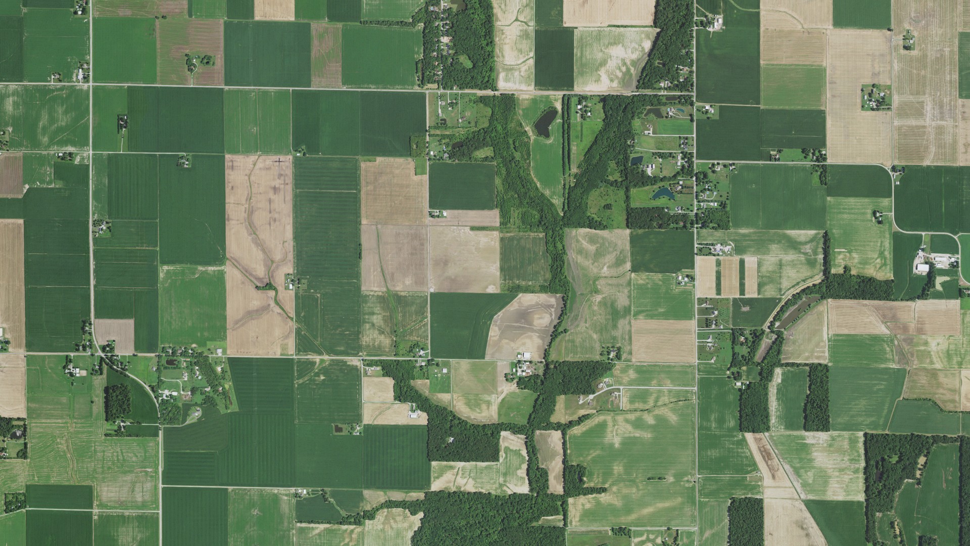 Aerial view of land around Engelmann, Illinois