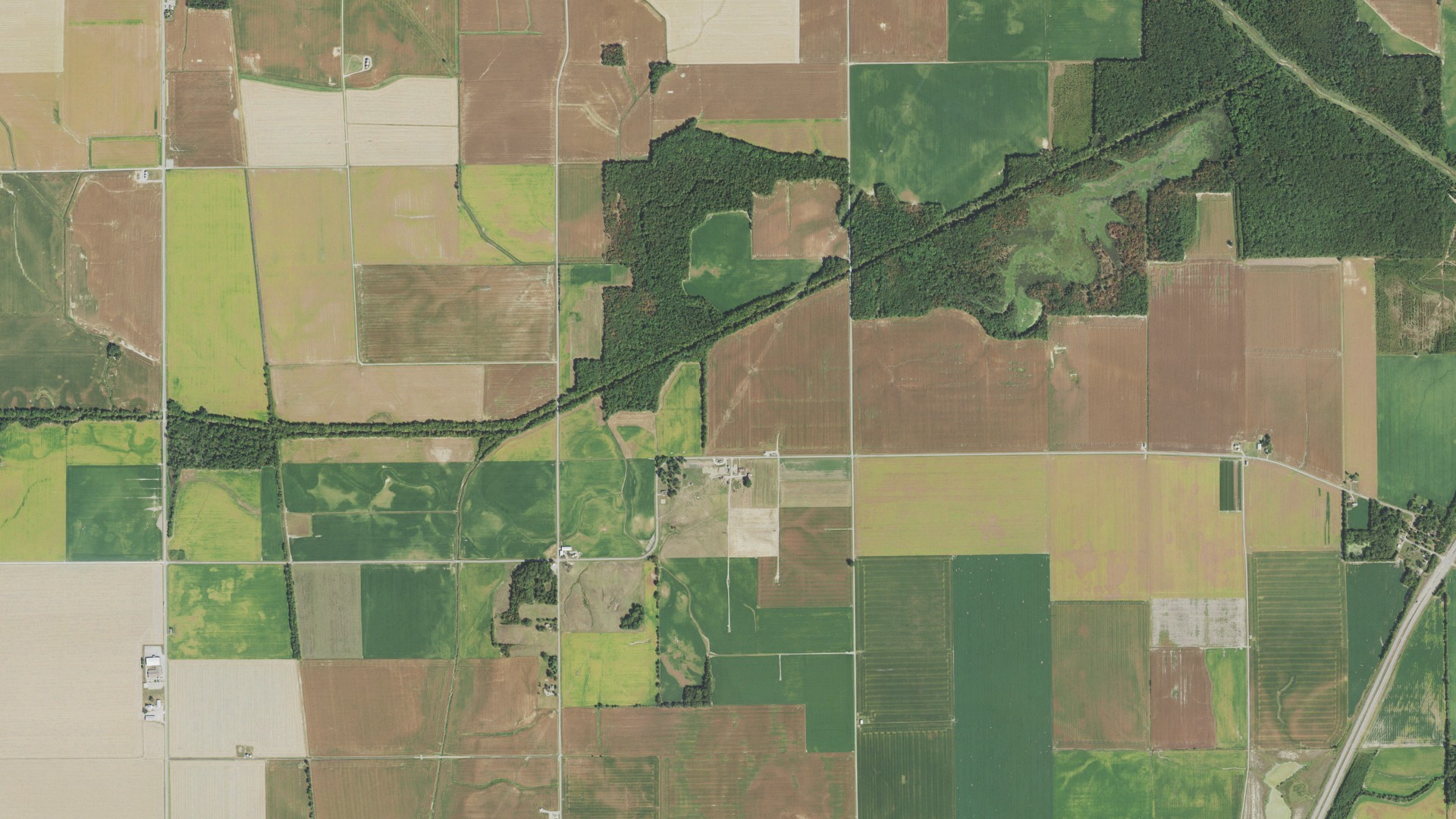 Natural-color aerial photograph of land around Rector, Illinois