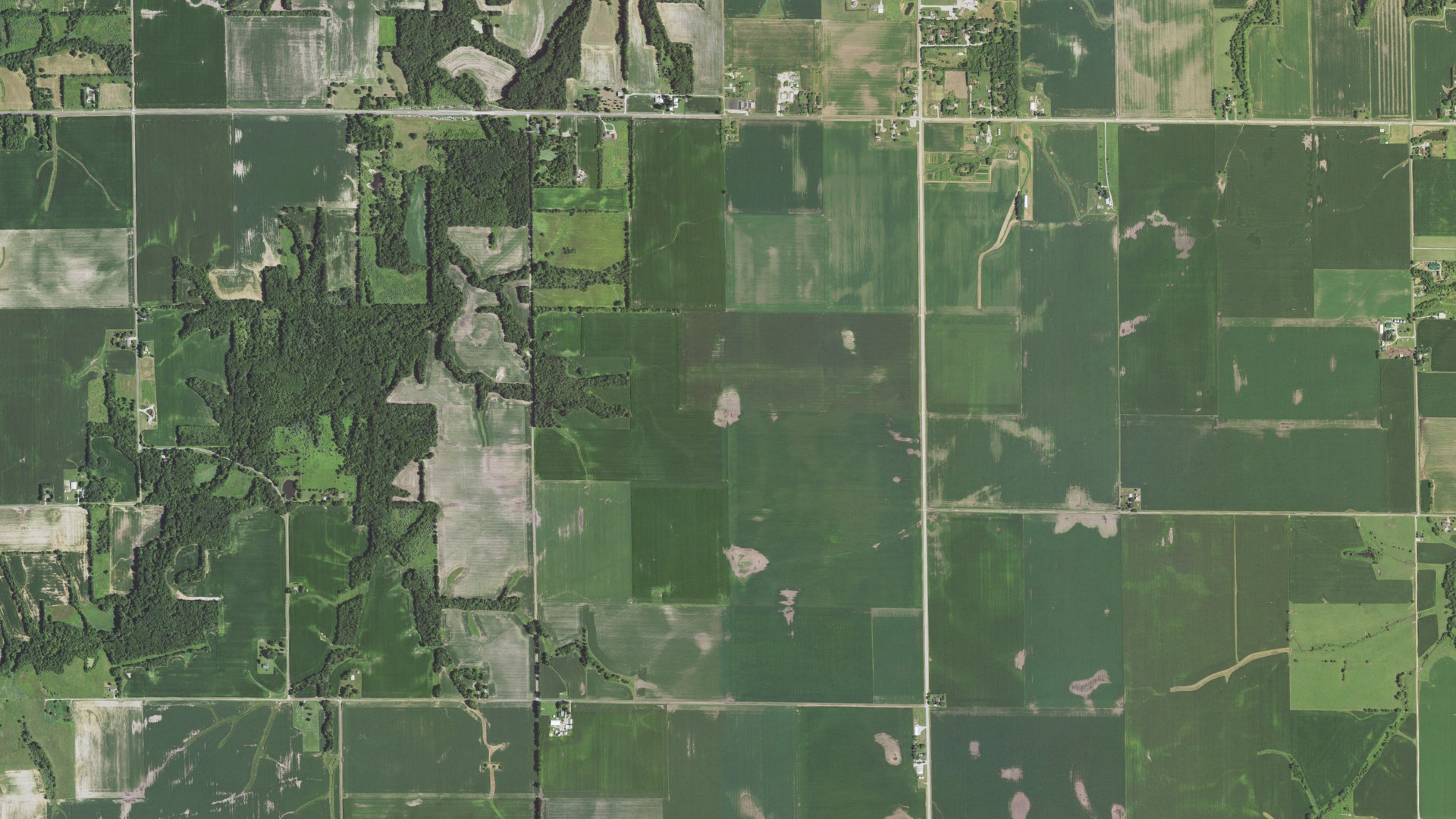 Aerial view of land around Cotton Hill, Illinois