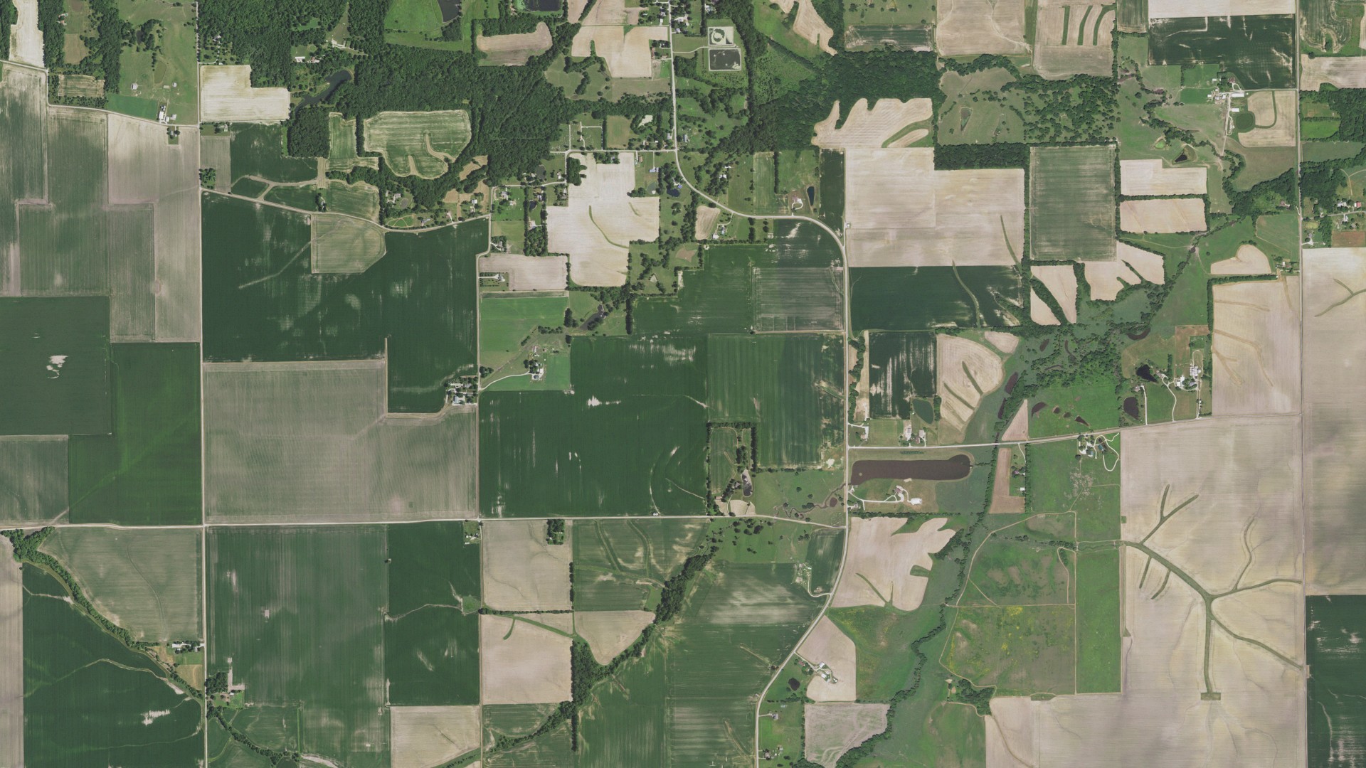 Aerial view of land around Loami, Illinois