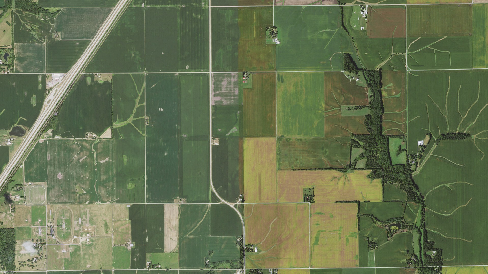 Aerial view of land around Williams, Illinois