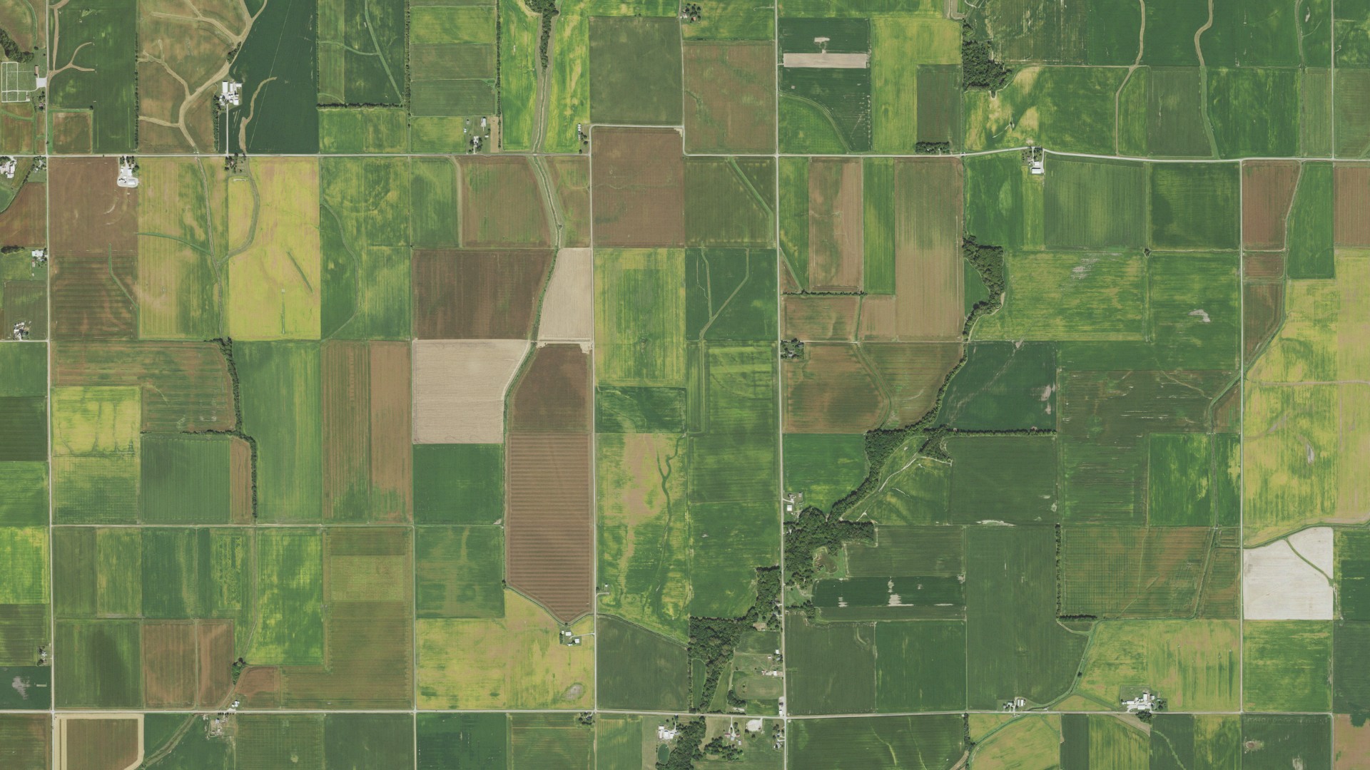 Natural-color aerial photograph of land around Ash Grove, Illinois