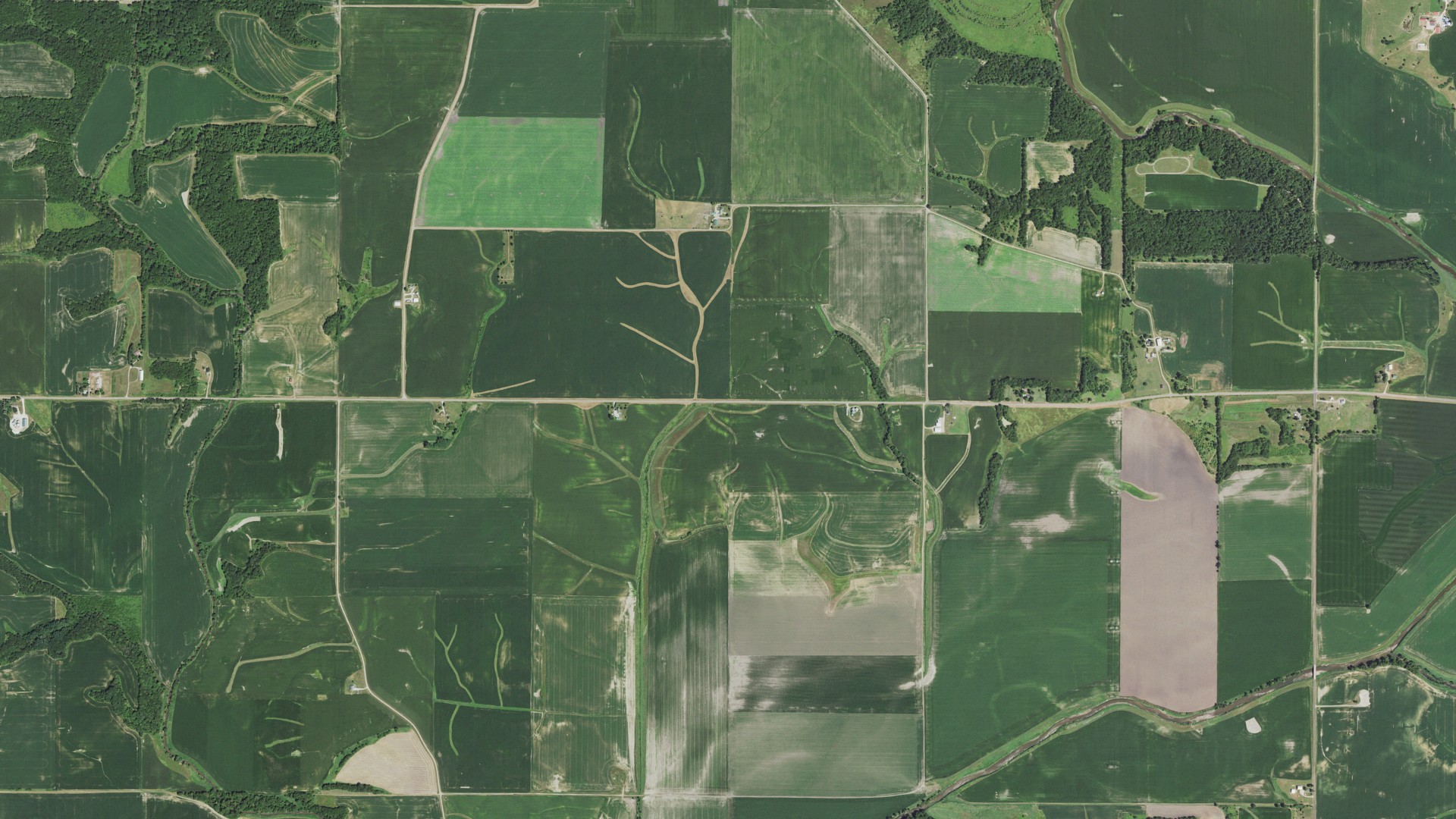 Aerial view of land around Essex, Illinois