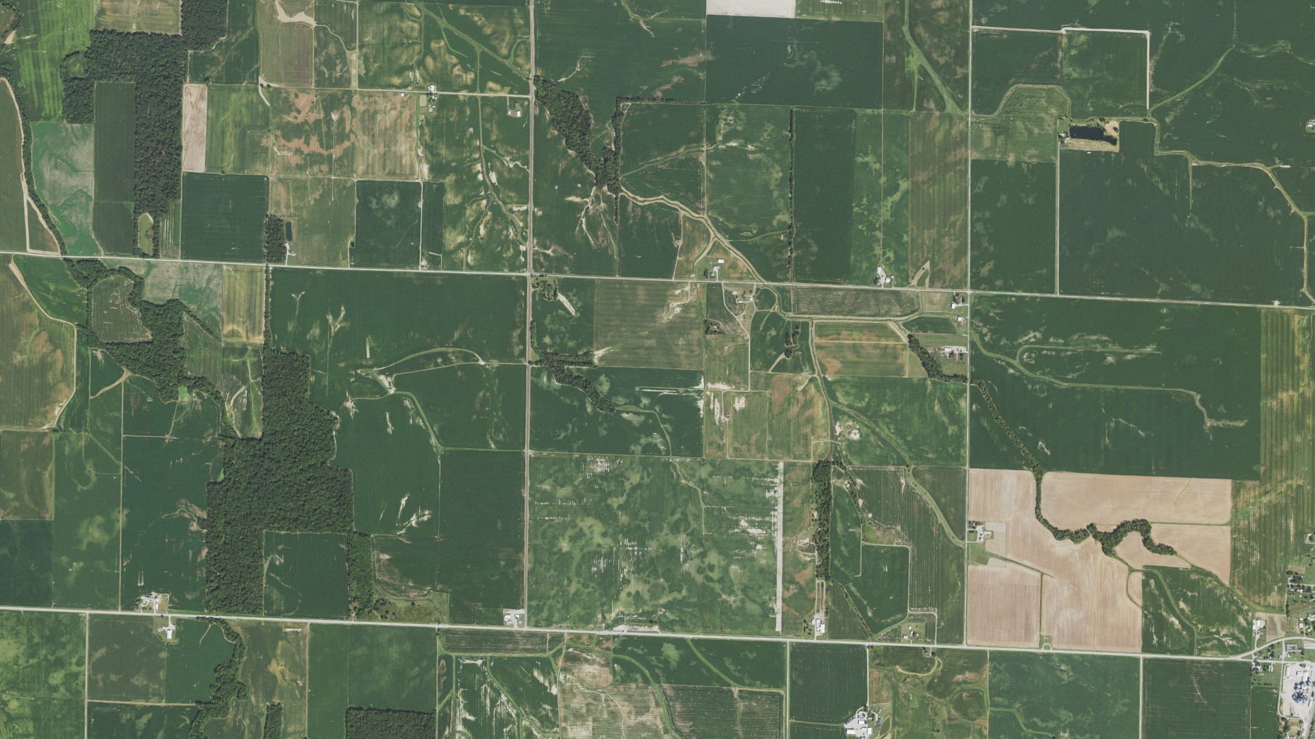 Natural-color aerial photograph of land around Irvington, Illinois