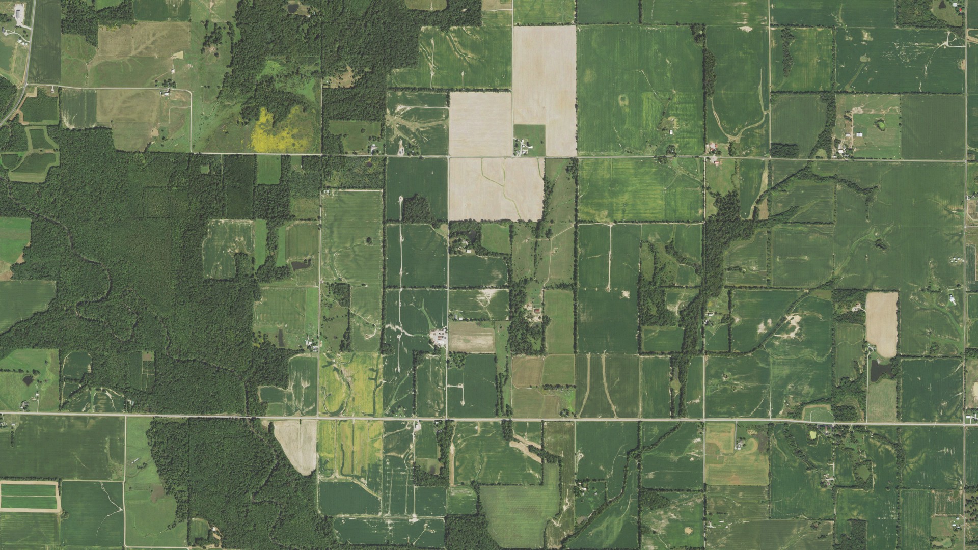 Natural-color aerial photograph of land around Elm River, Illinois