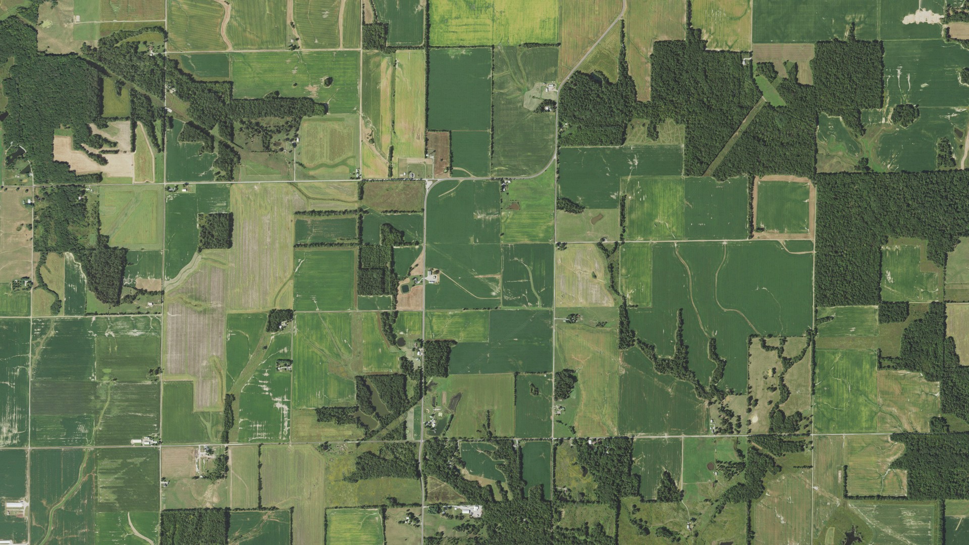 Aerial view of land around Garden Hill, Illinois