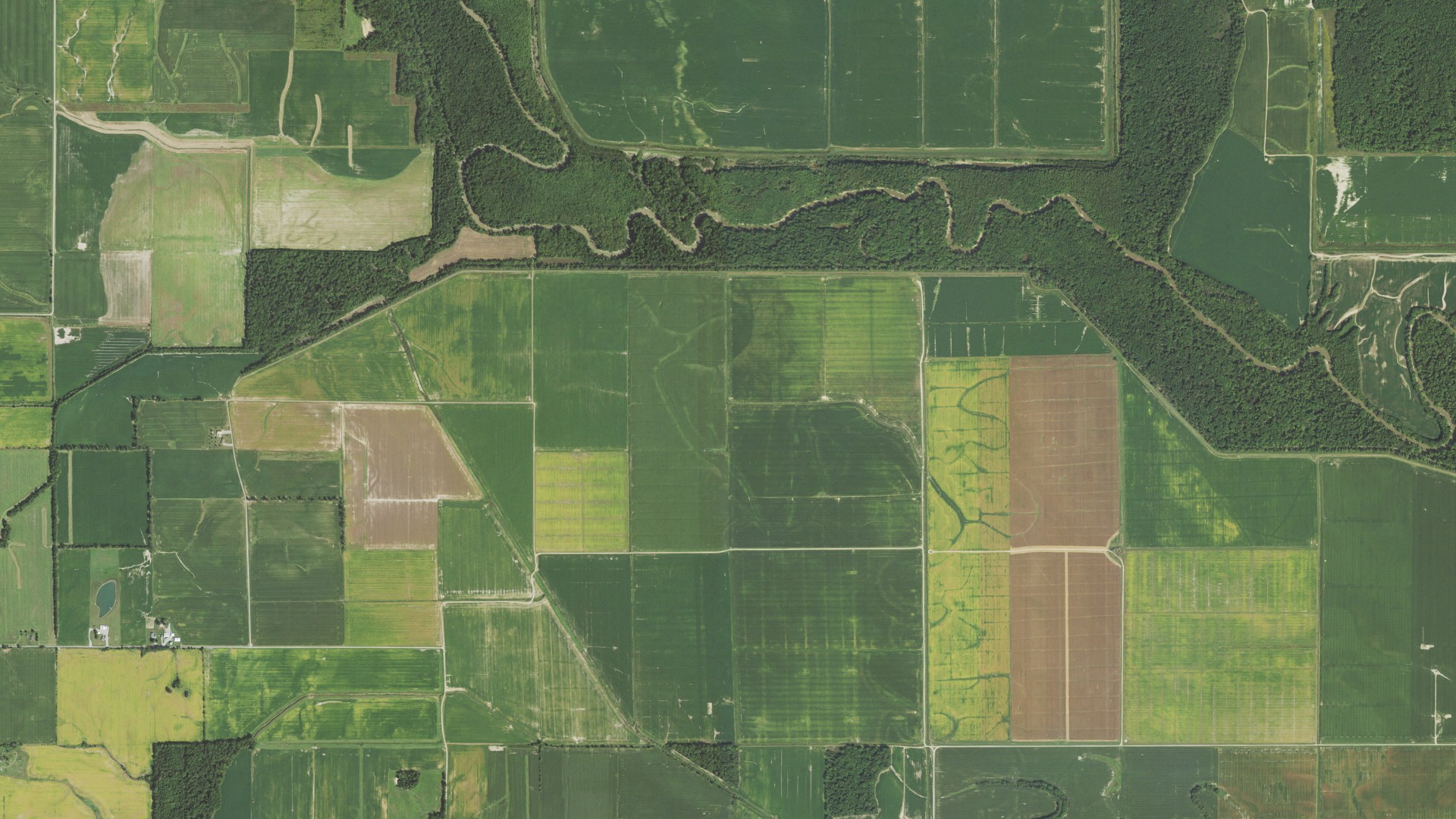 Natural-color aerial photograph of land around Mount Erie, Illinois