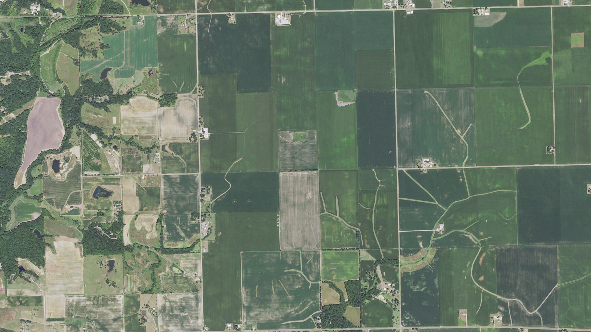 Natural-color aerial photograph of land around Palestine, Illinois
