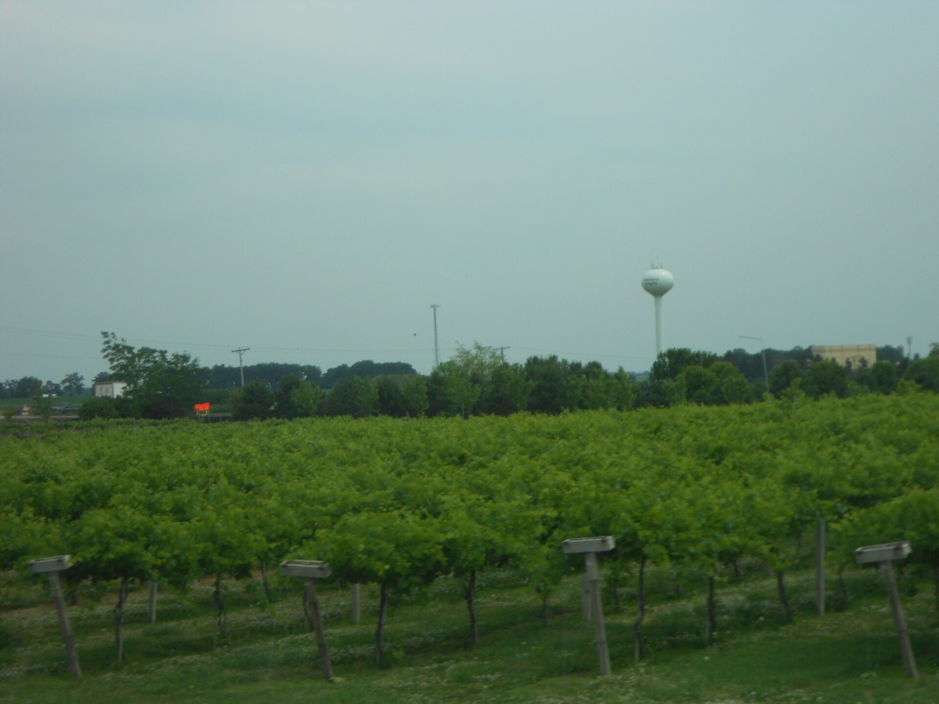 Aquaviva Winery, Maple Park, Illinois