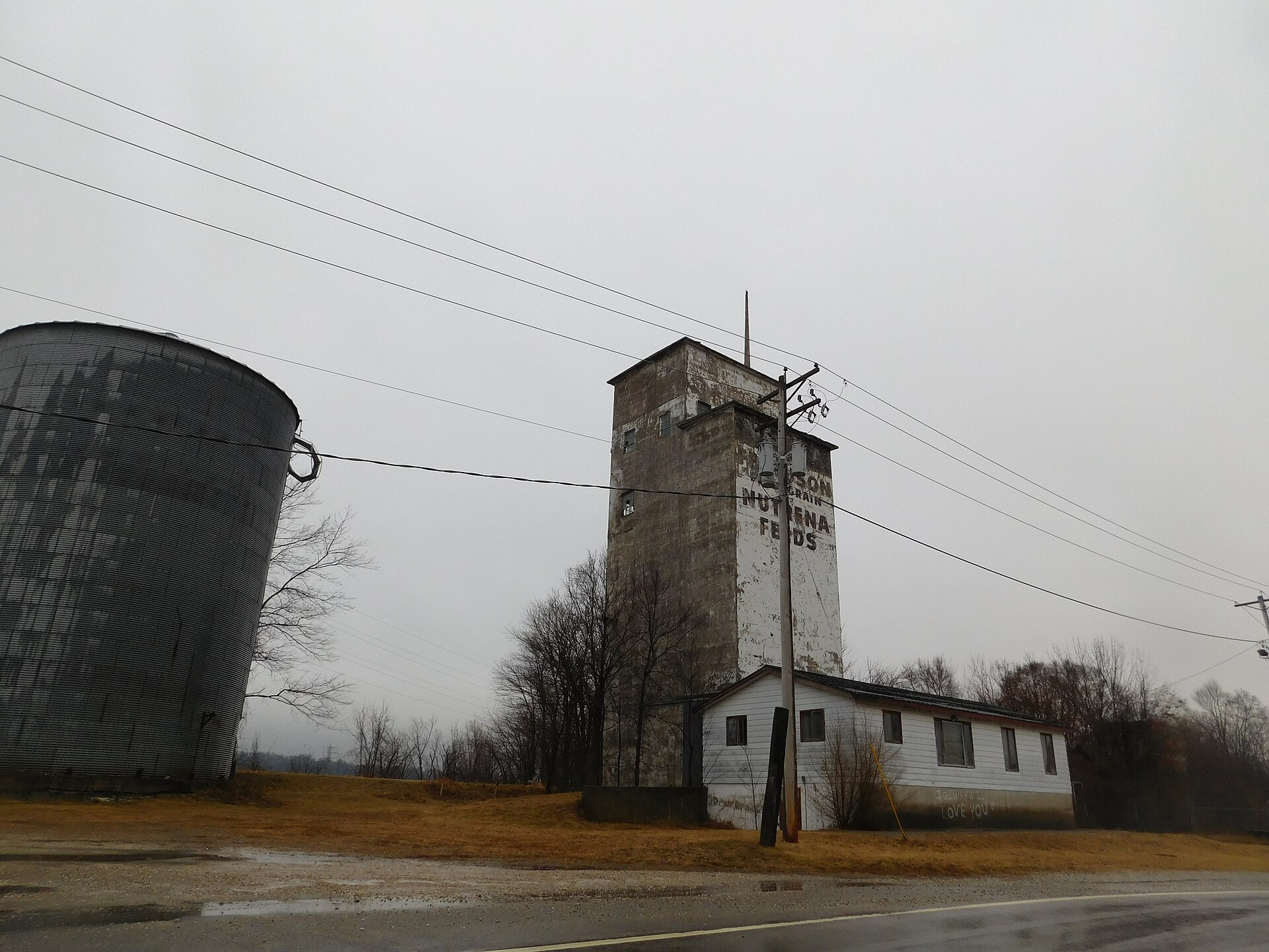 The Niota, Illinois grain elevator with former company logos on it.