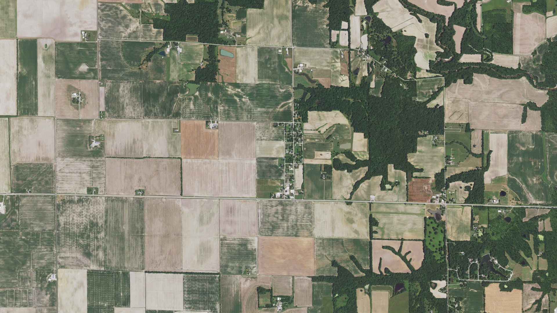 Aerial view of land around Old Ripley, Illinois