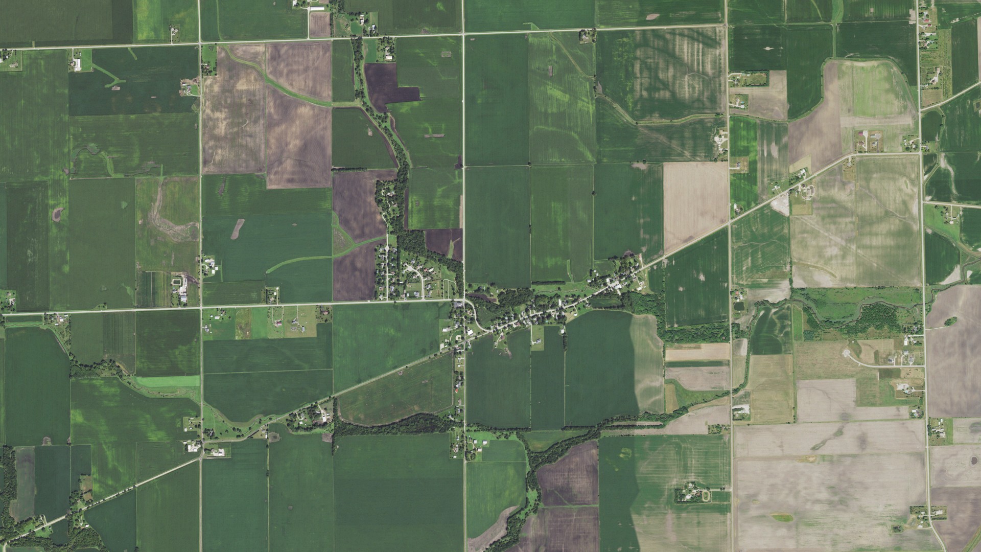 Natural-color aerial photograph of land around Plattville, Illinois