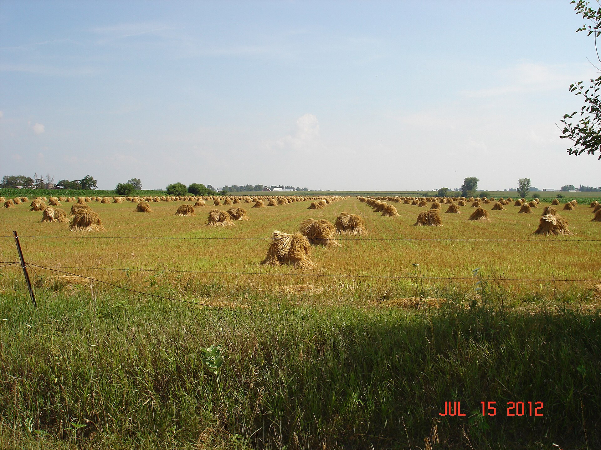 Amish Haystacks Fairbank, Iowa