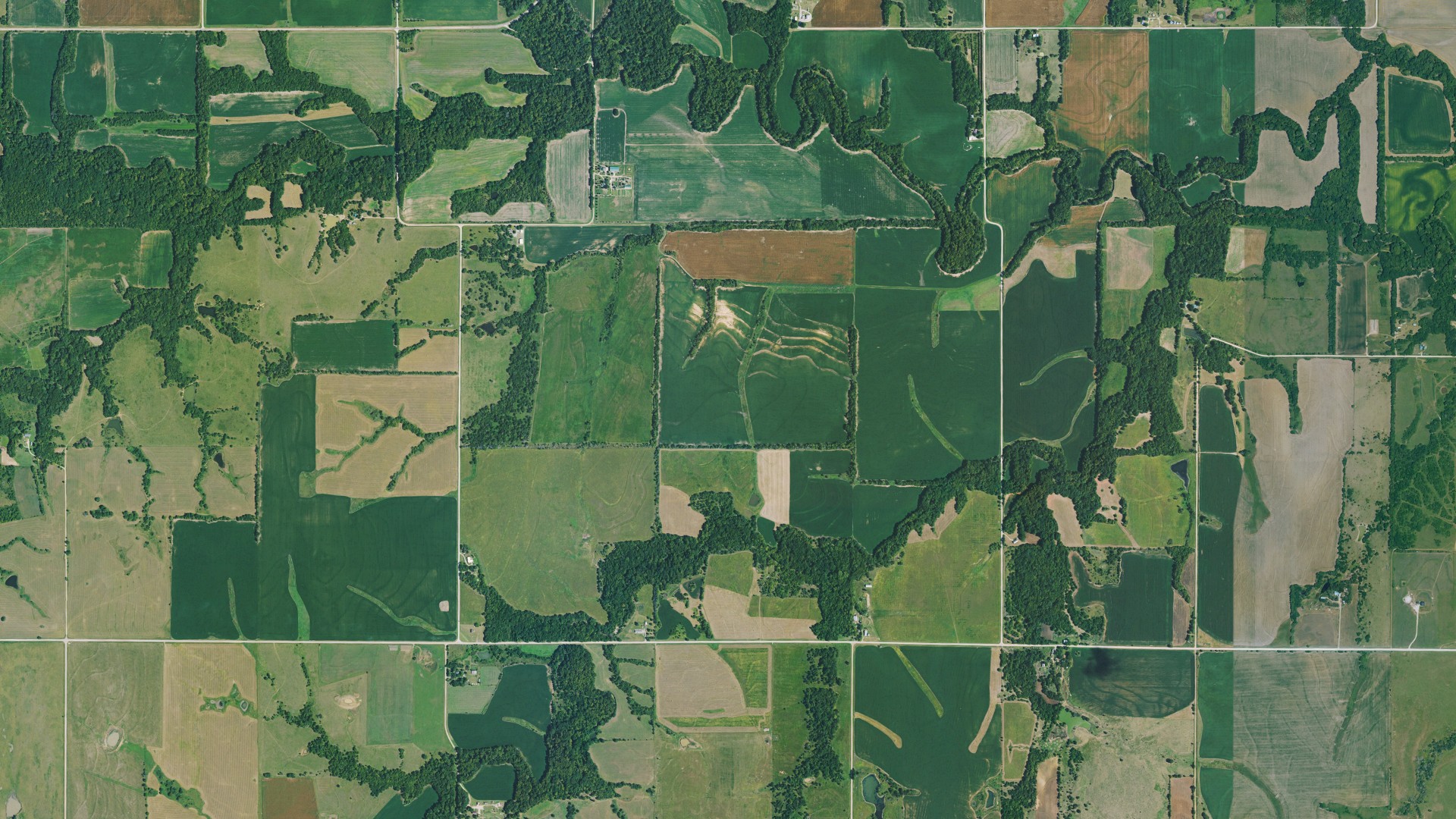 Natural-color aerial photograph of land around Elmendaro, Kansas