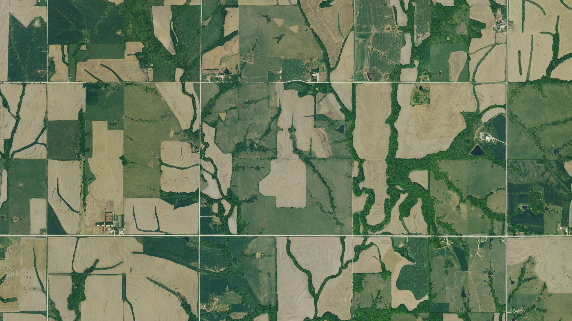 Natural-color aerial photograph of land around Neuchatel, Kansas