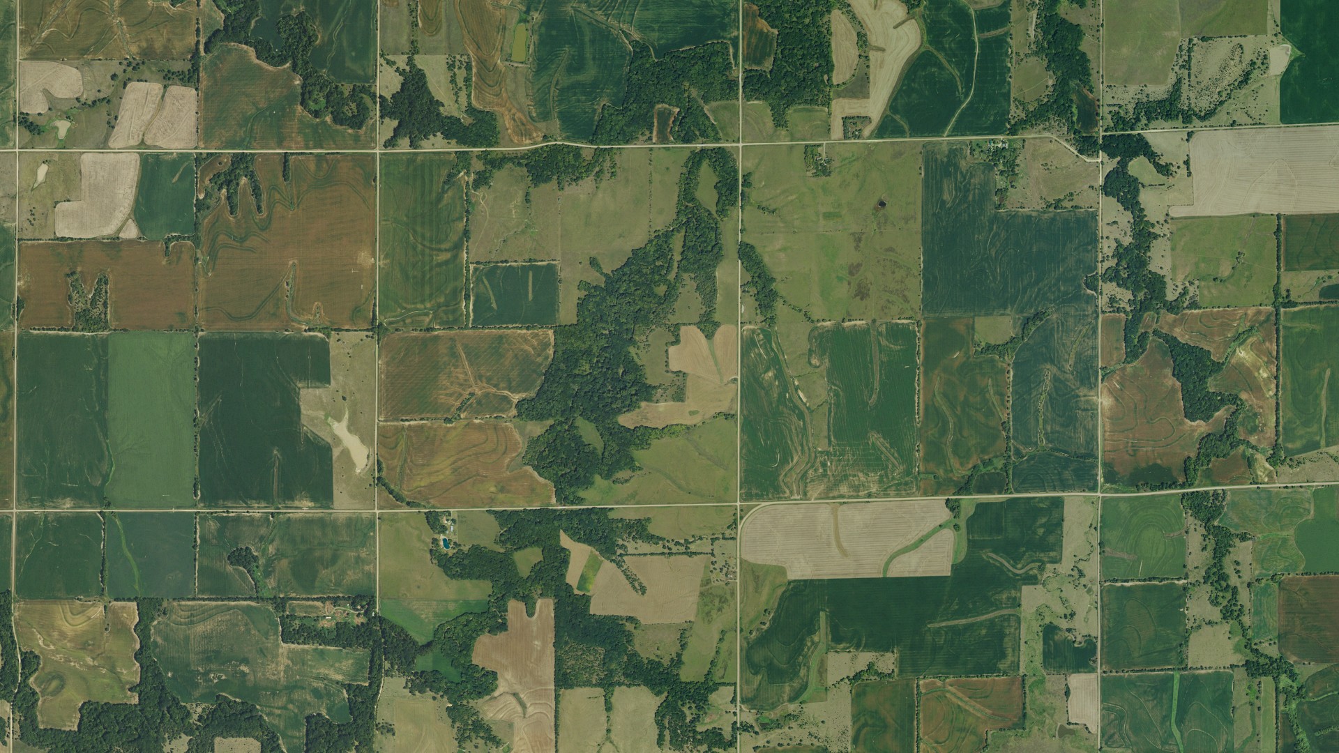 Aerial view of land around Rose Creek, Kansas